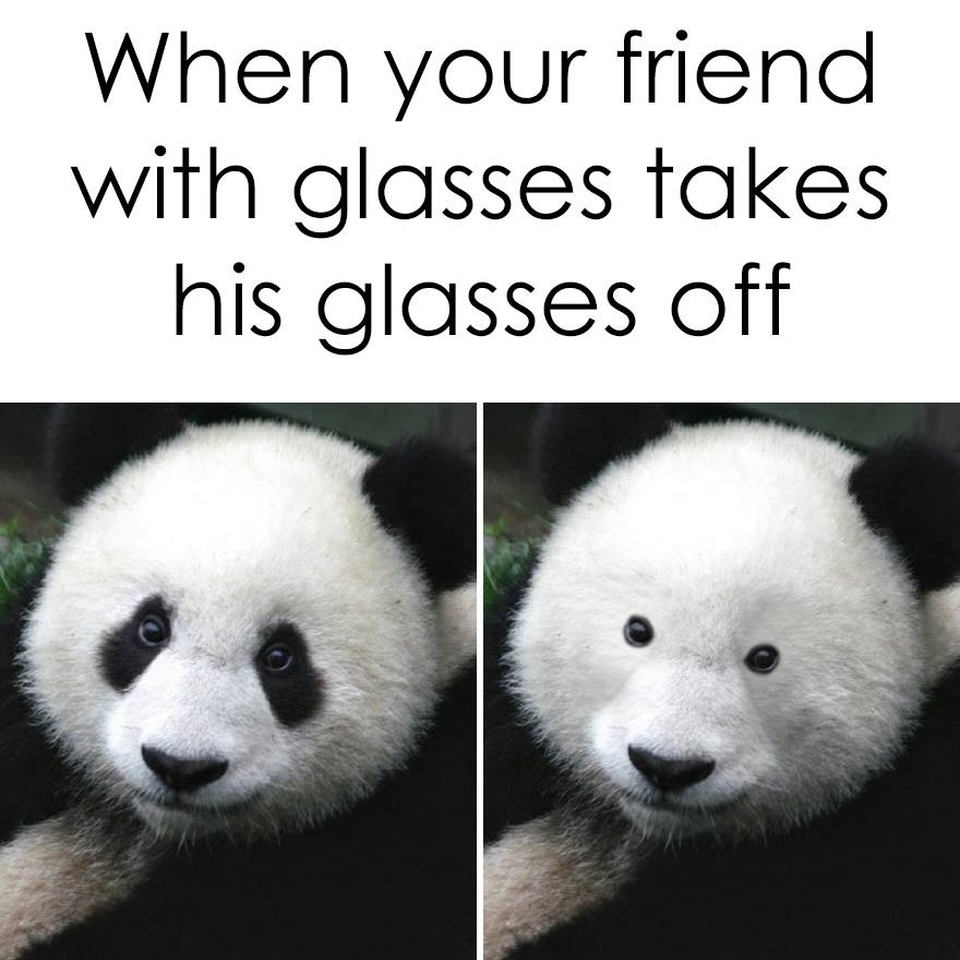 Friend with glasses r/memes