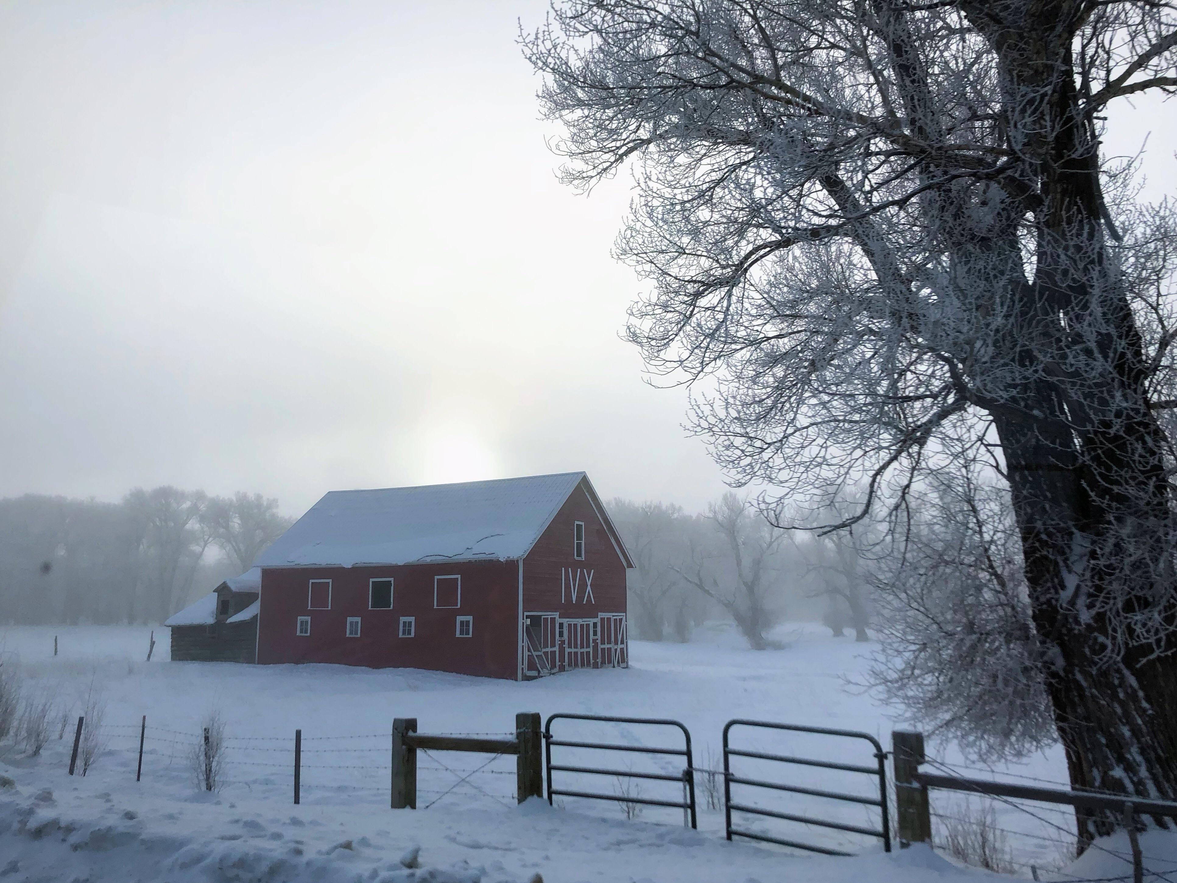 The red barn west of Gunnison on a cold, foggy morning r/Colorado