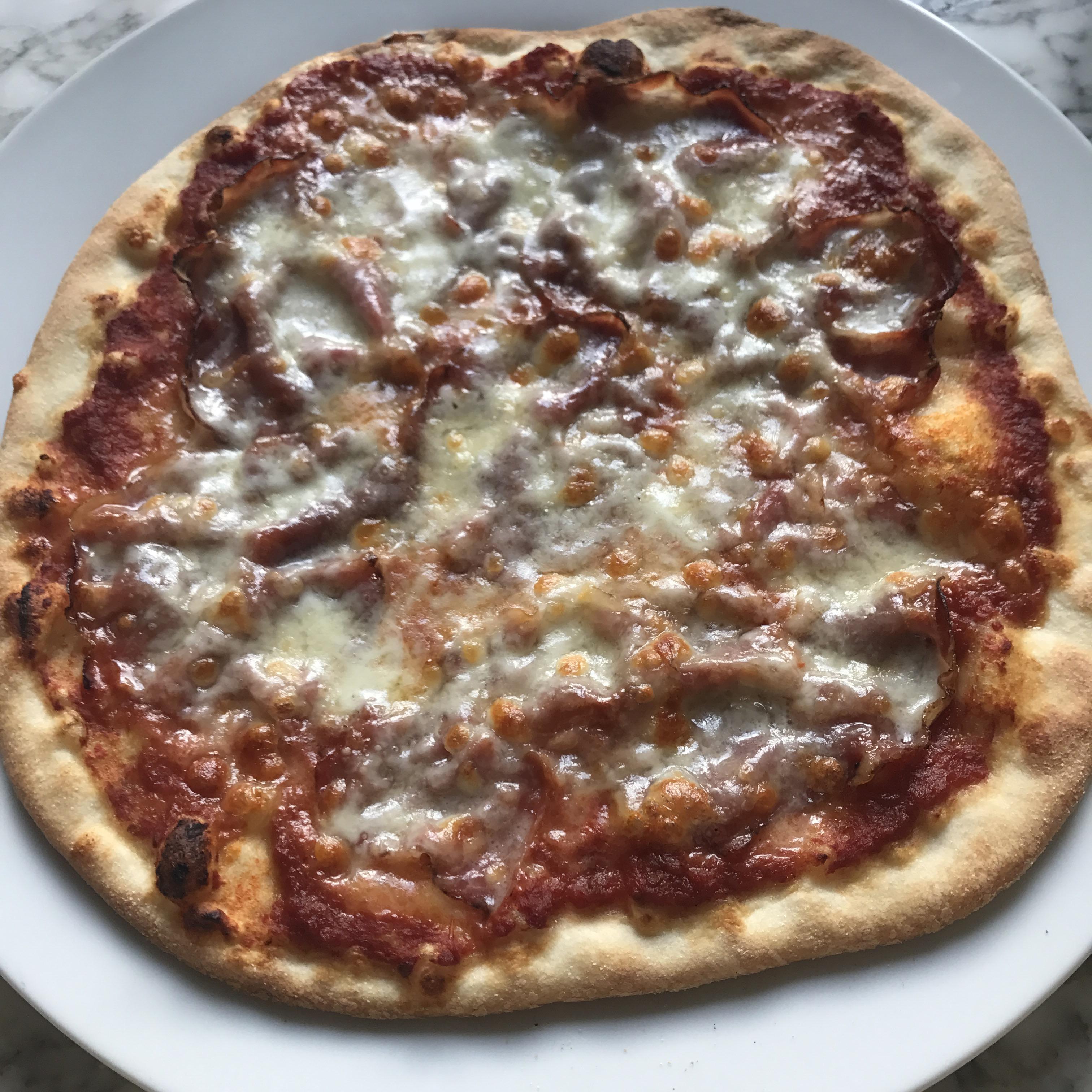 The top 15 Ideas About Cold Fermented Pizza Dough Easy Recipes To