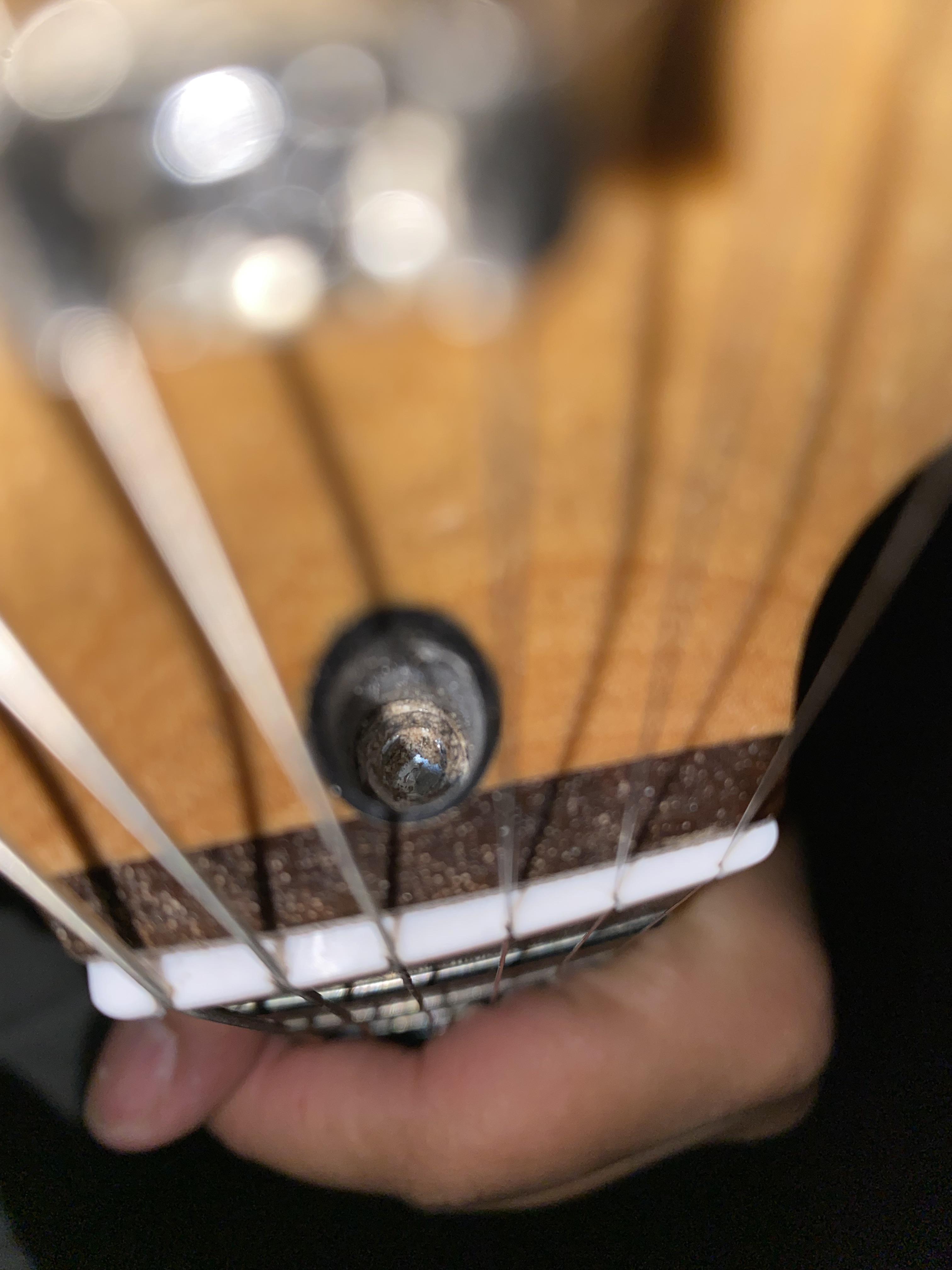 Is my truss rod screw stripped? r/guitars