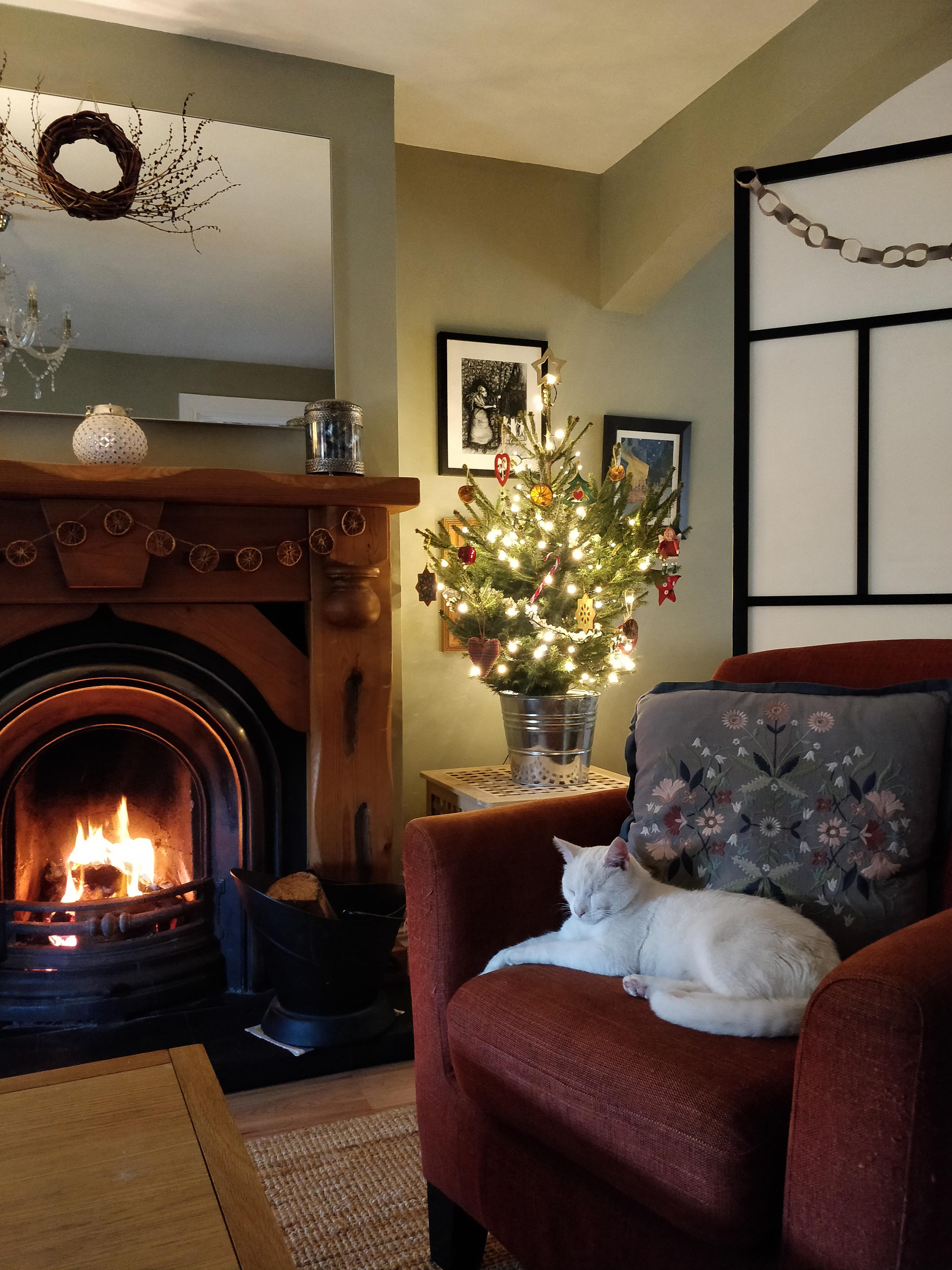 My cosy living room. Northern Ireland. r/CozyPlaces