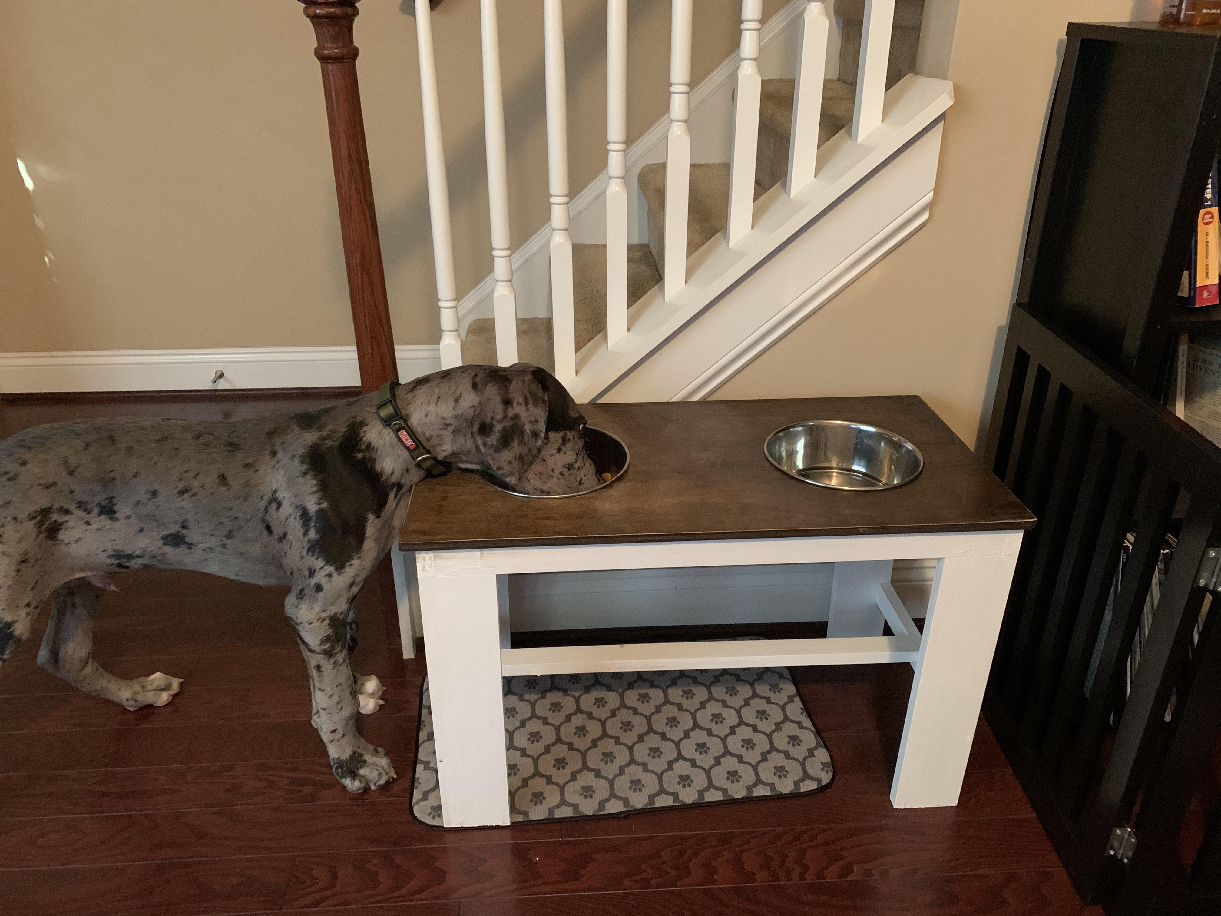 Built a raised dog bowl, Great Dane puppy for scale r/woodworking