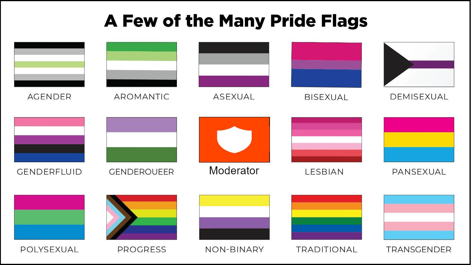 Some pride flags r/dankmemes