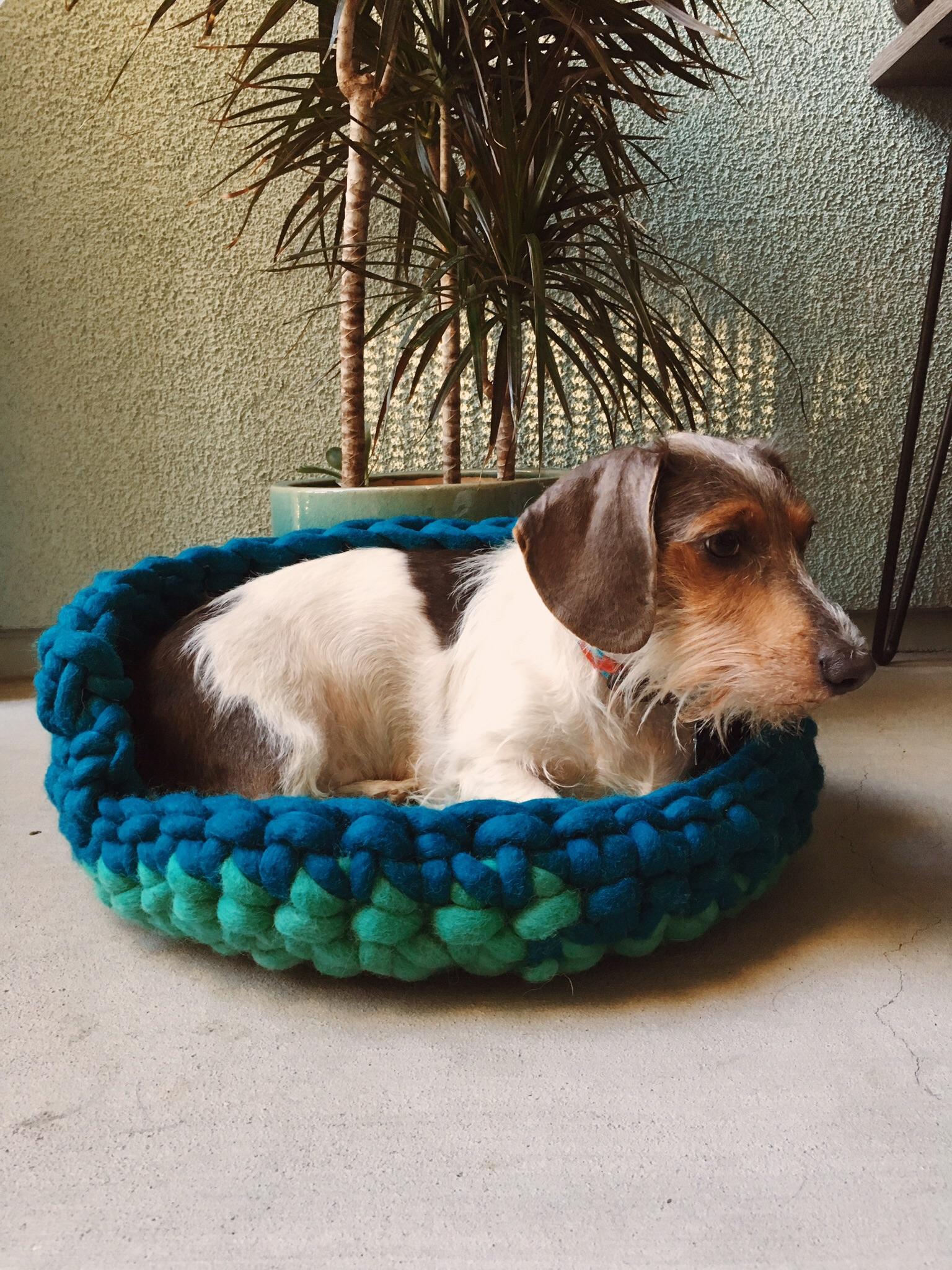 Crocheted a dog bed for my pups. r/crochet