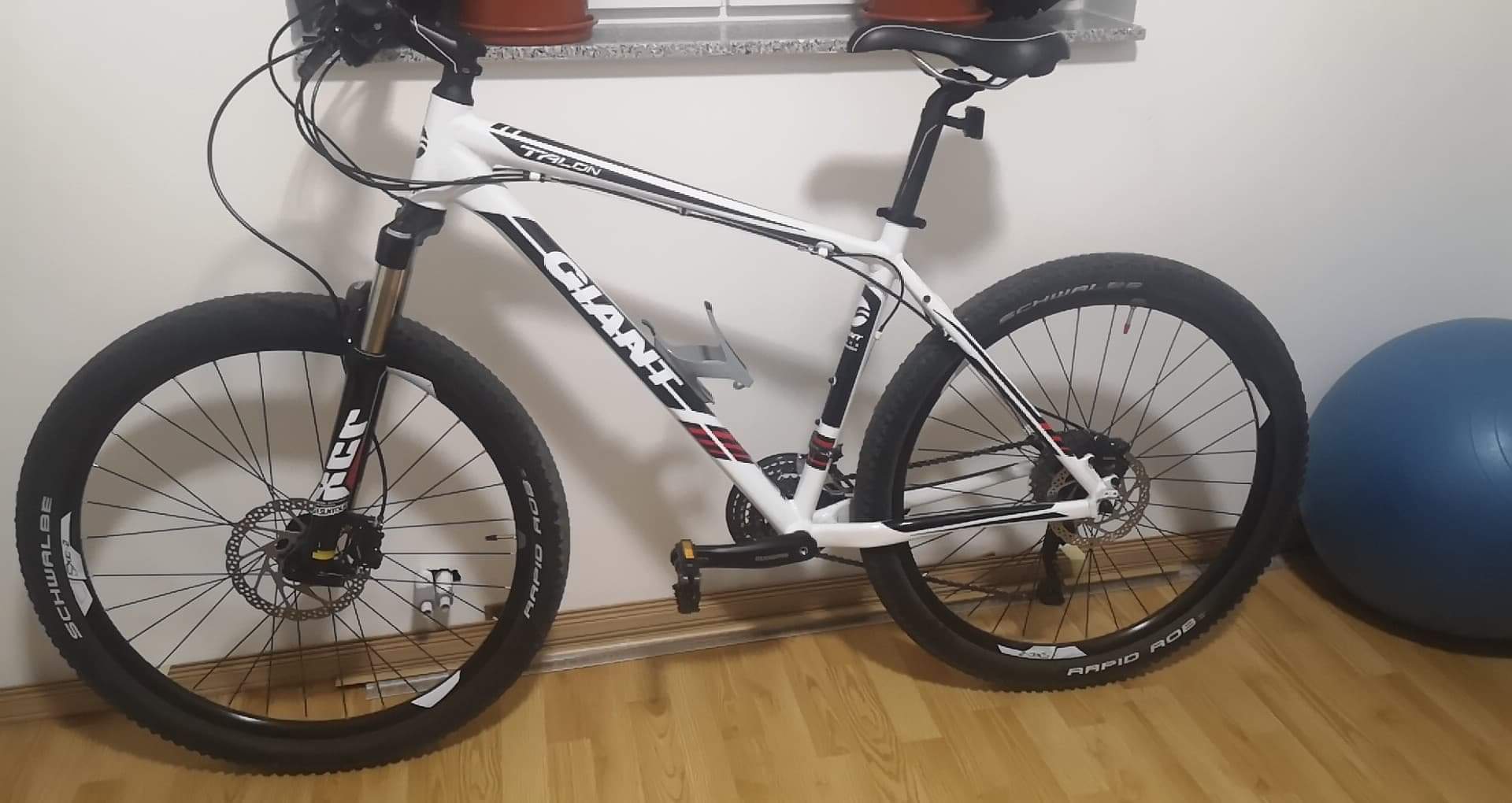 Anyone here knows about his bike? r/eindhoven