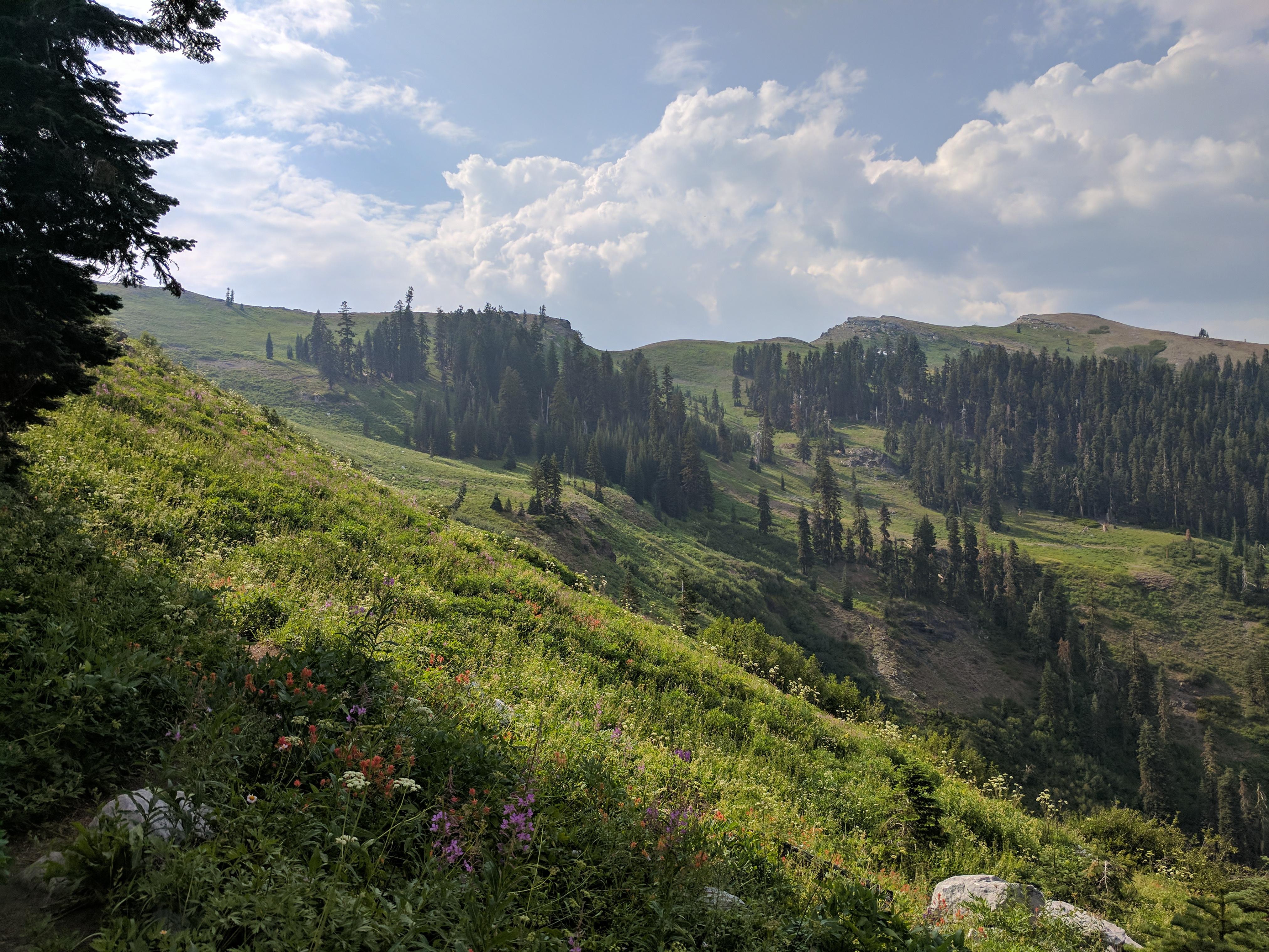 Marble Mountain Wilderness, California [OC] [4048x3036] r/EarthPorn