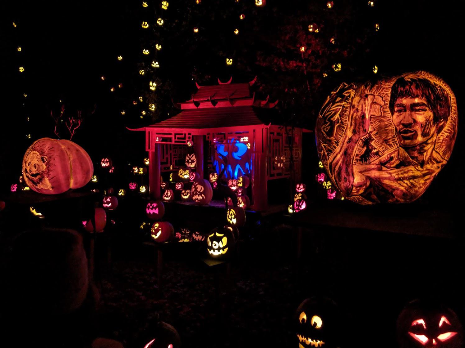 Just a sample of the 5000 pumpkin JackOLantern Spectacular at MN Zoo