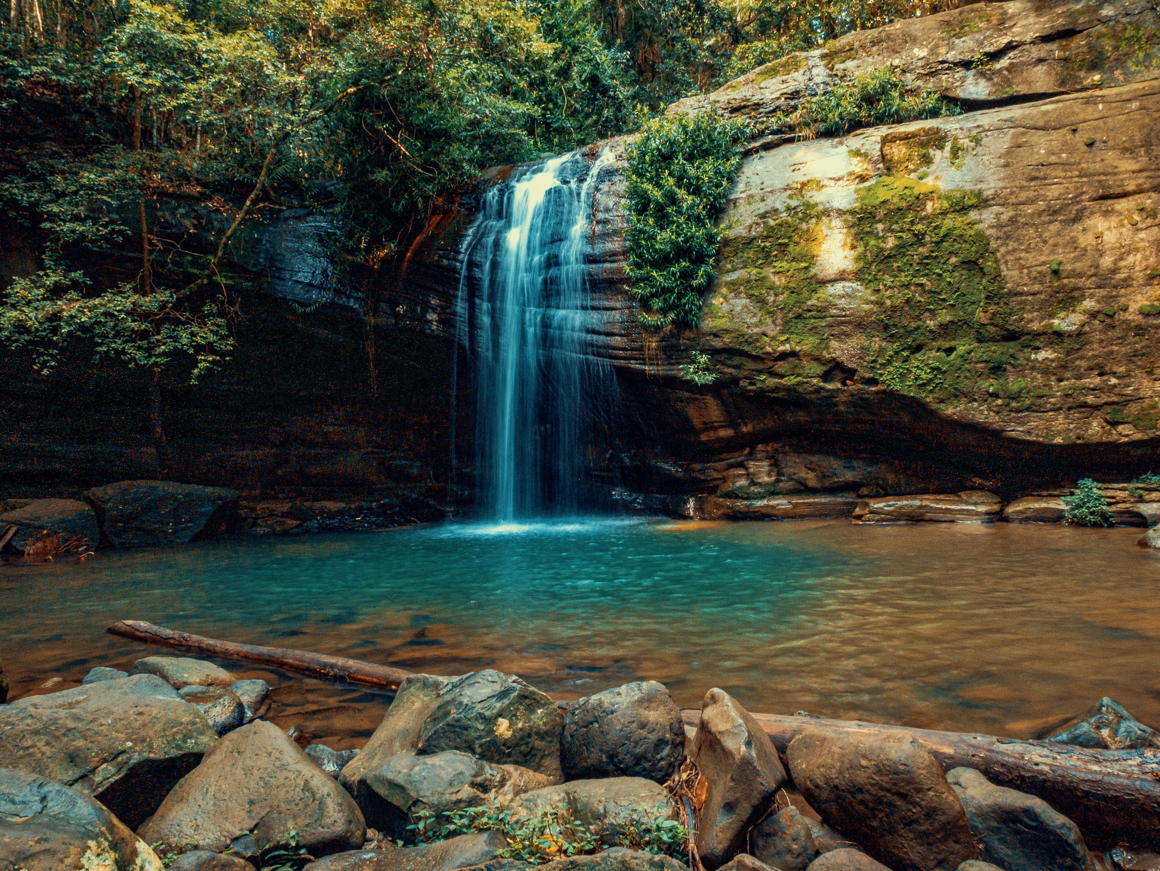 Buderim Waterfalls. Queensland, Australia (OC) (4592x3448) r/EarthPorn