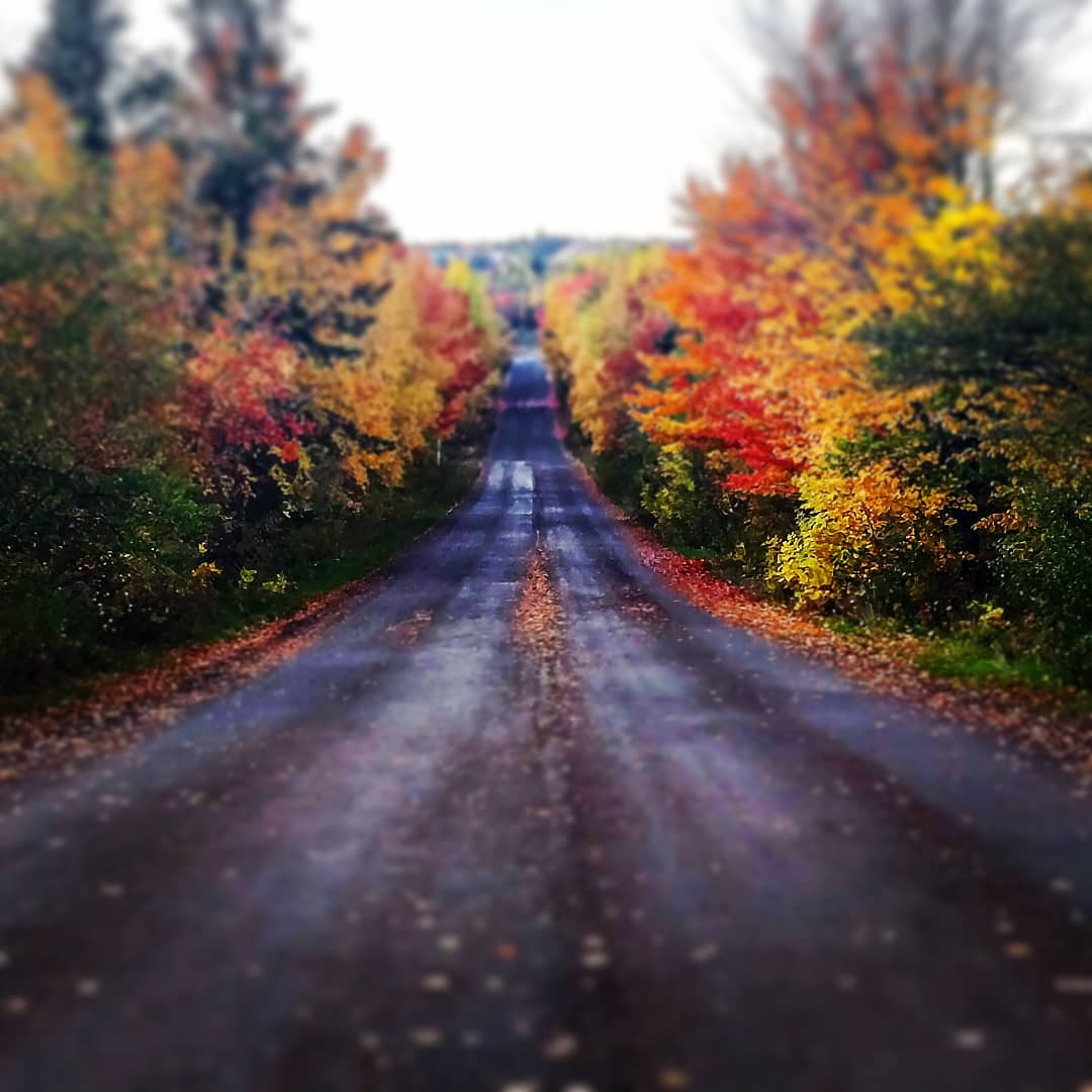 🔥 Fall colors, Canada r/NatureIsFuckingLit