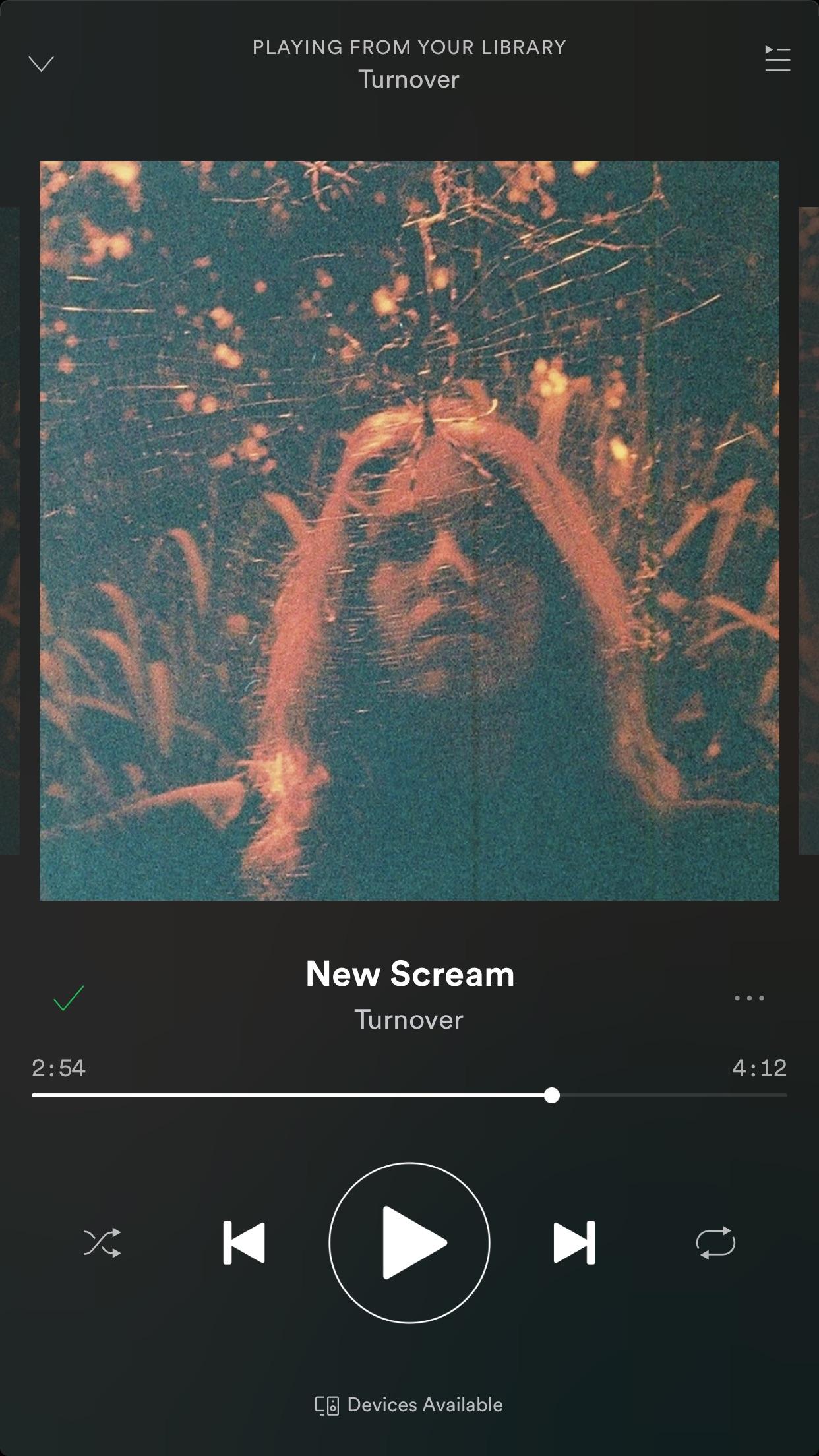 Modern bands/albums that sound like Turnover's Peripheral Vision? r