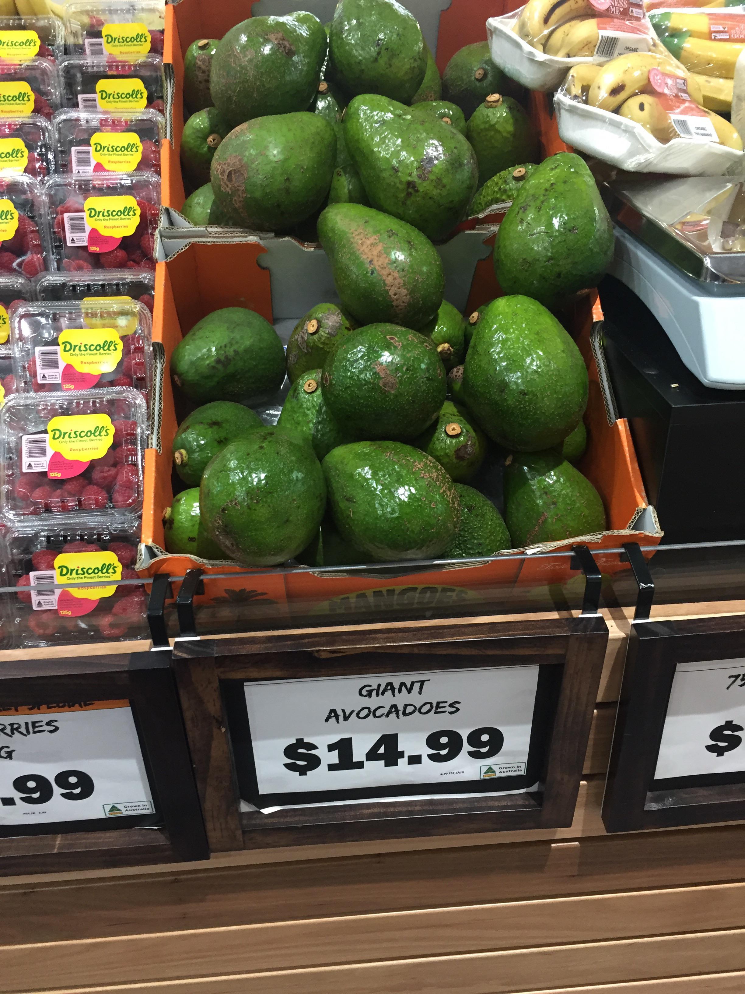Are giant avocados new or have they always been around? Foodland in