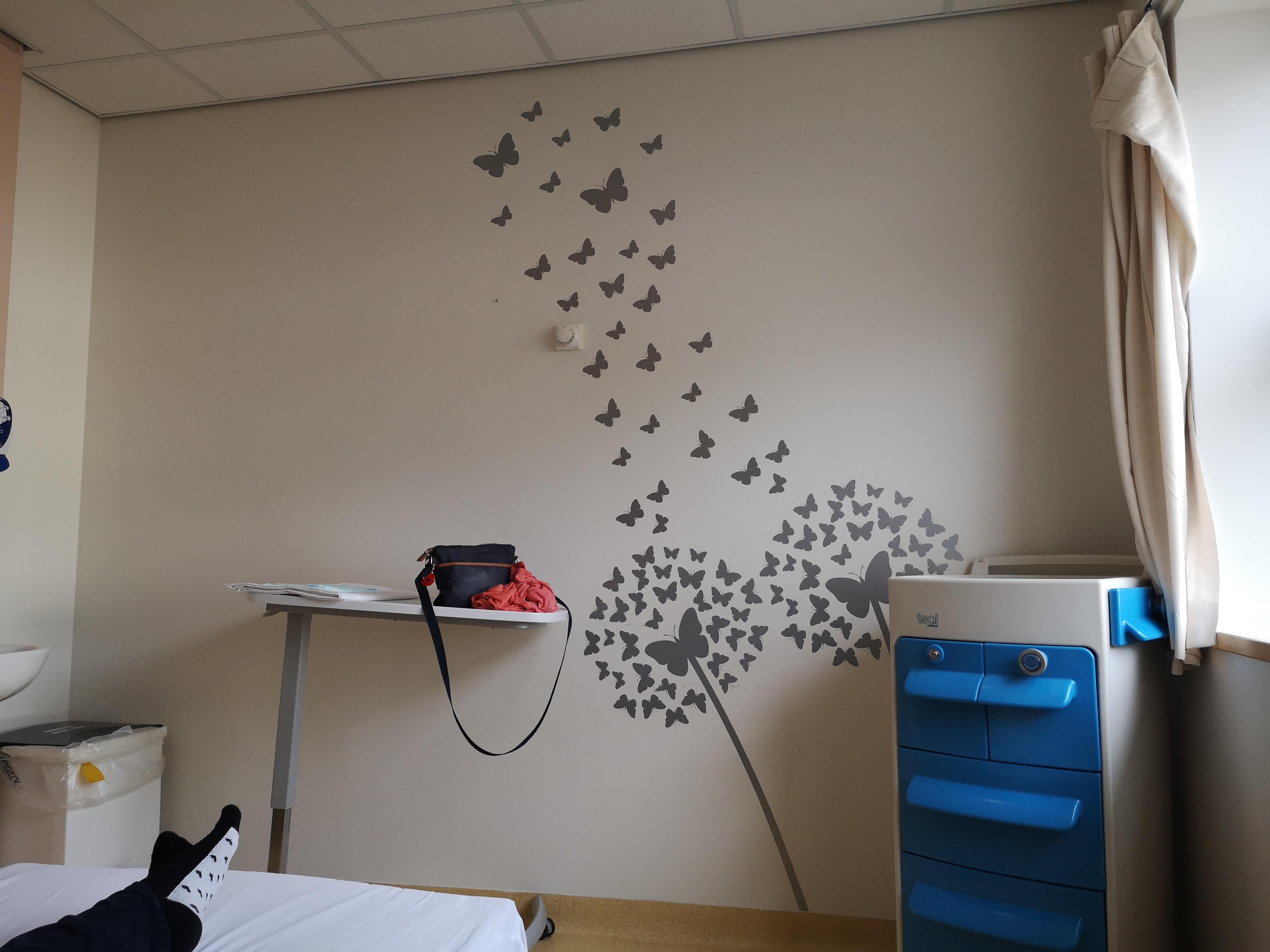 Hospital butterfly decorations r/mildlypenis