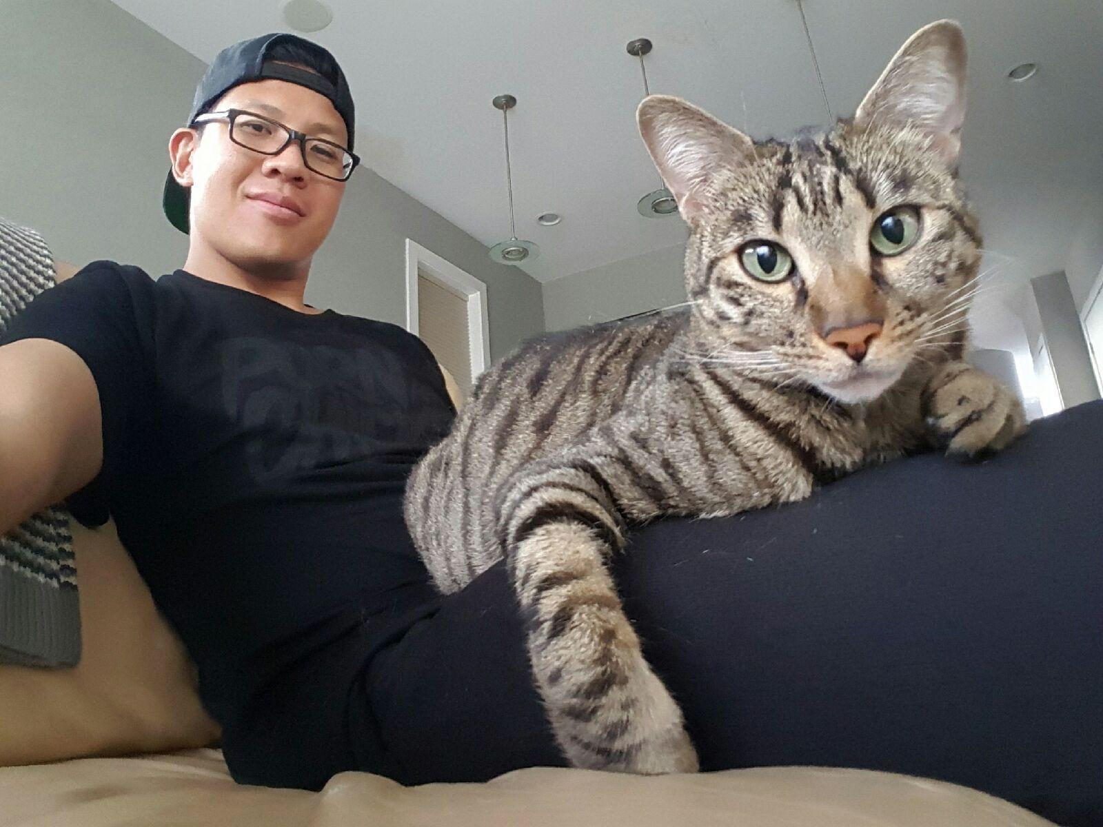 Happy Father's Day to all the cat dads out there r/aww