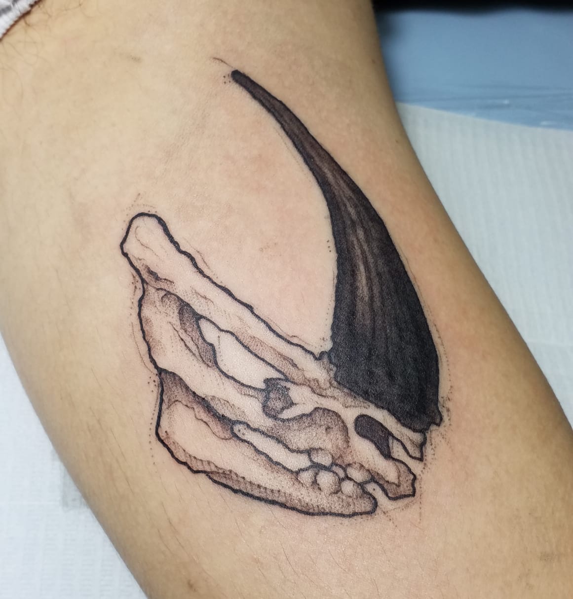 My very first tattoo done here im Brazil. Clan mudhorn. This is the way