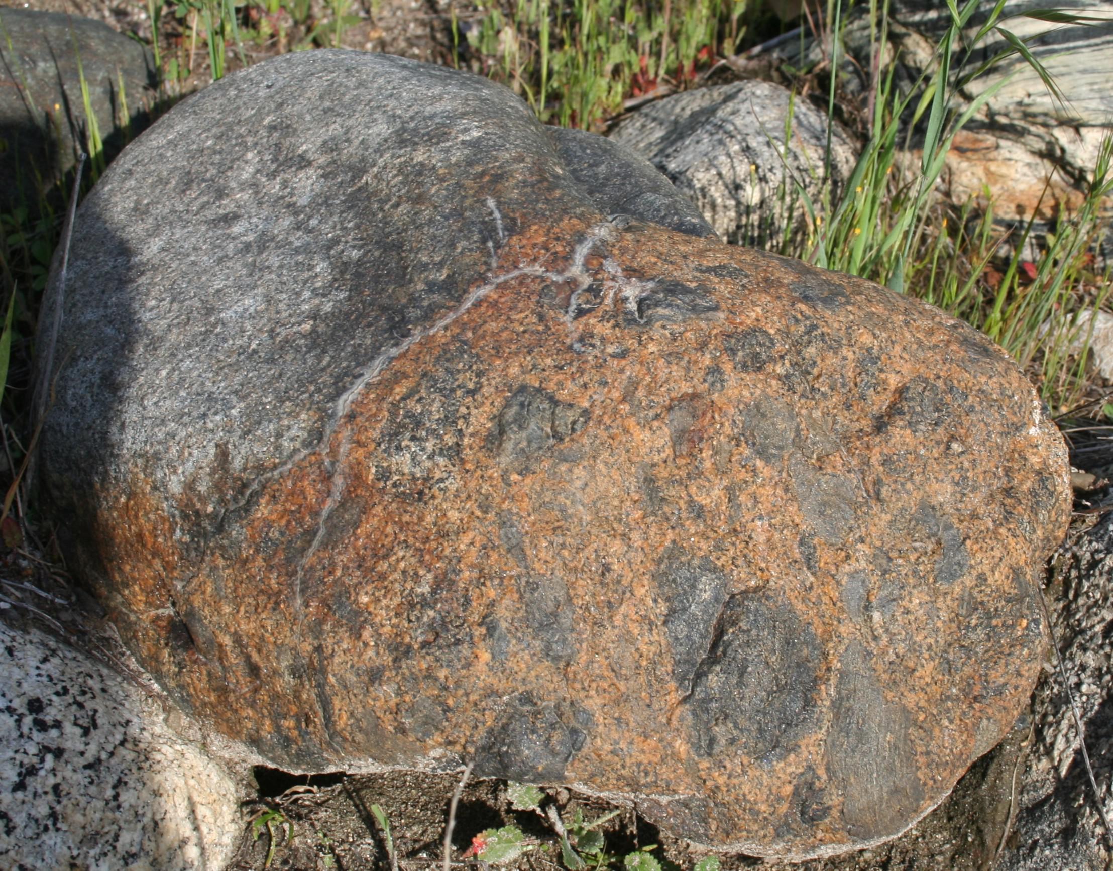 Looks like two rocks got stuck together here. I need help identifying this. Thanks. r