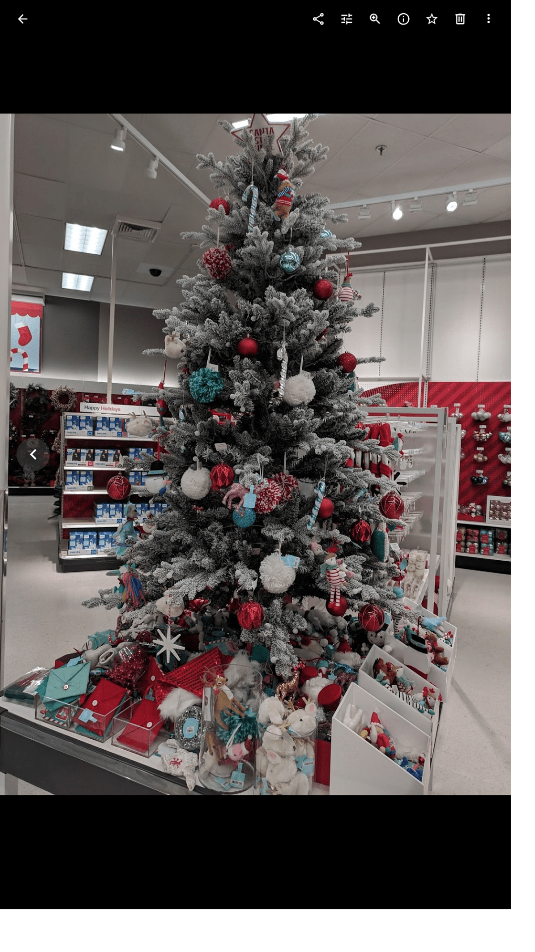 Strange white border in google photos (browser not app) when chromebook