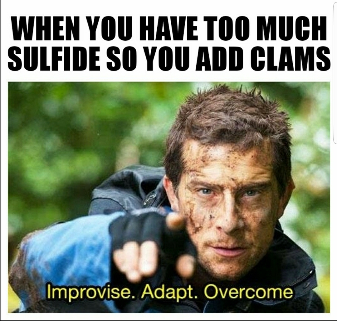 Funny PSAT memes Funniest PSAT memes of 2018