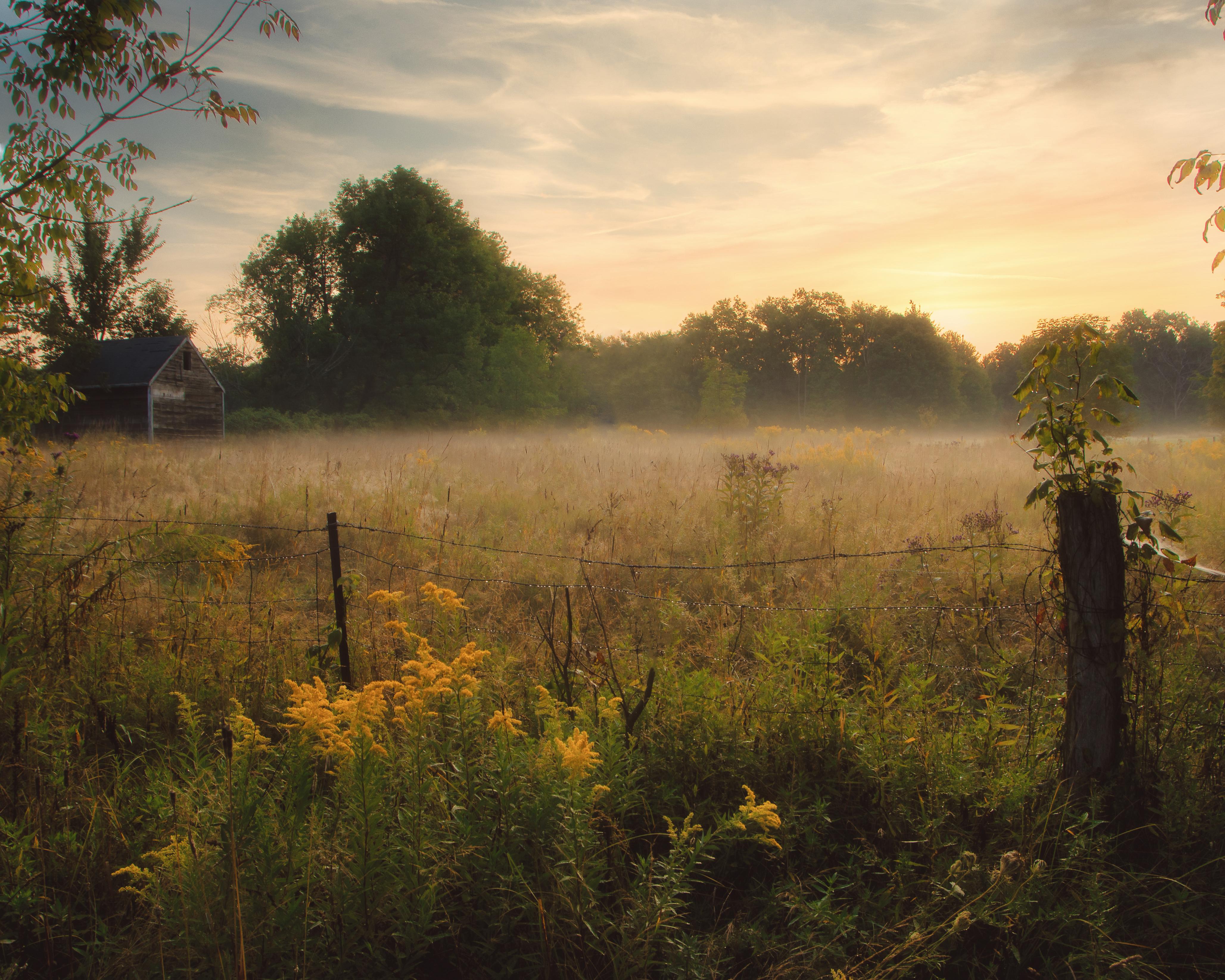 ITAP of foggy Ohio sunrise itookapicture