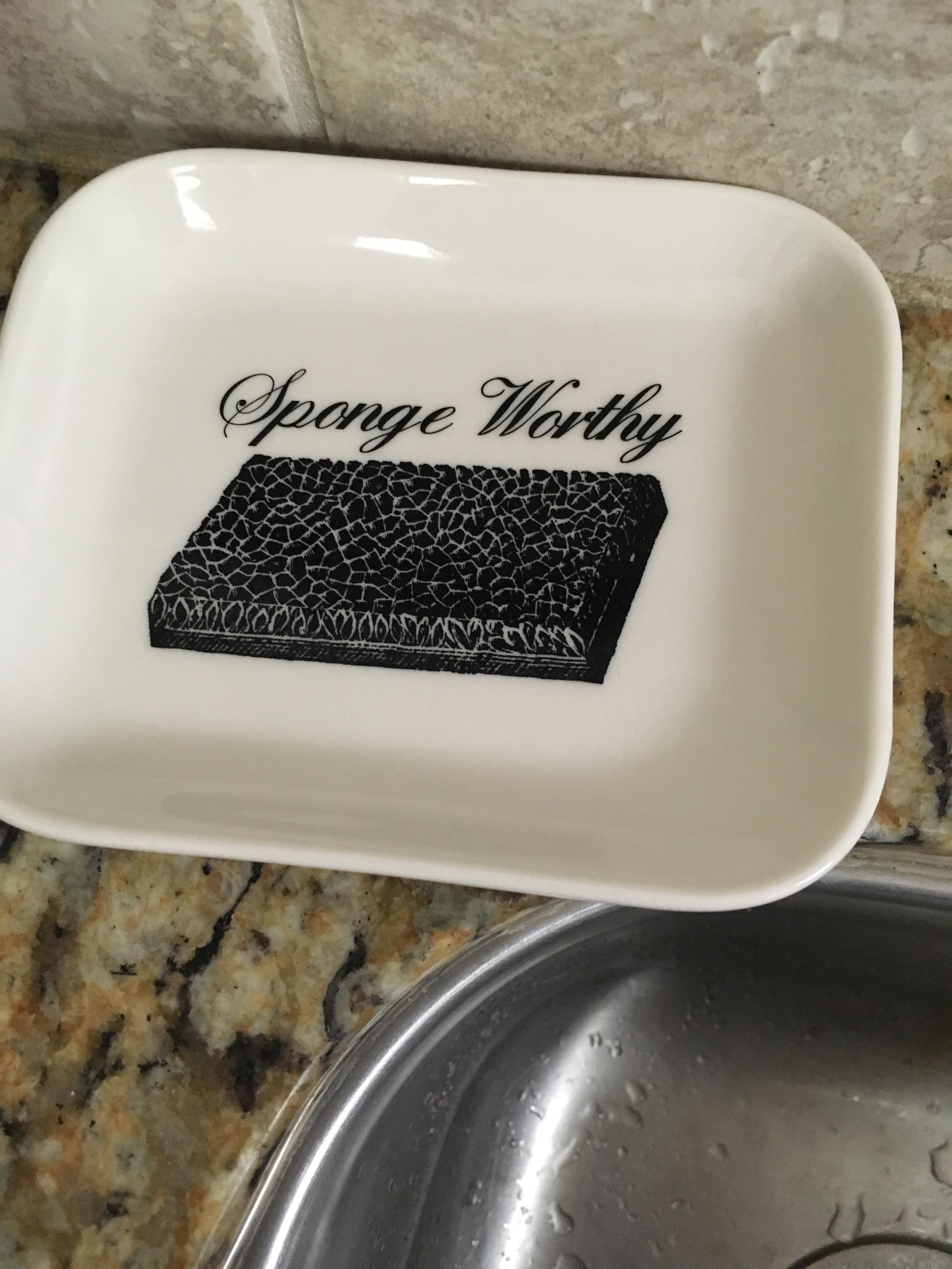 Totally sponge worthy! r/seinfeld