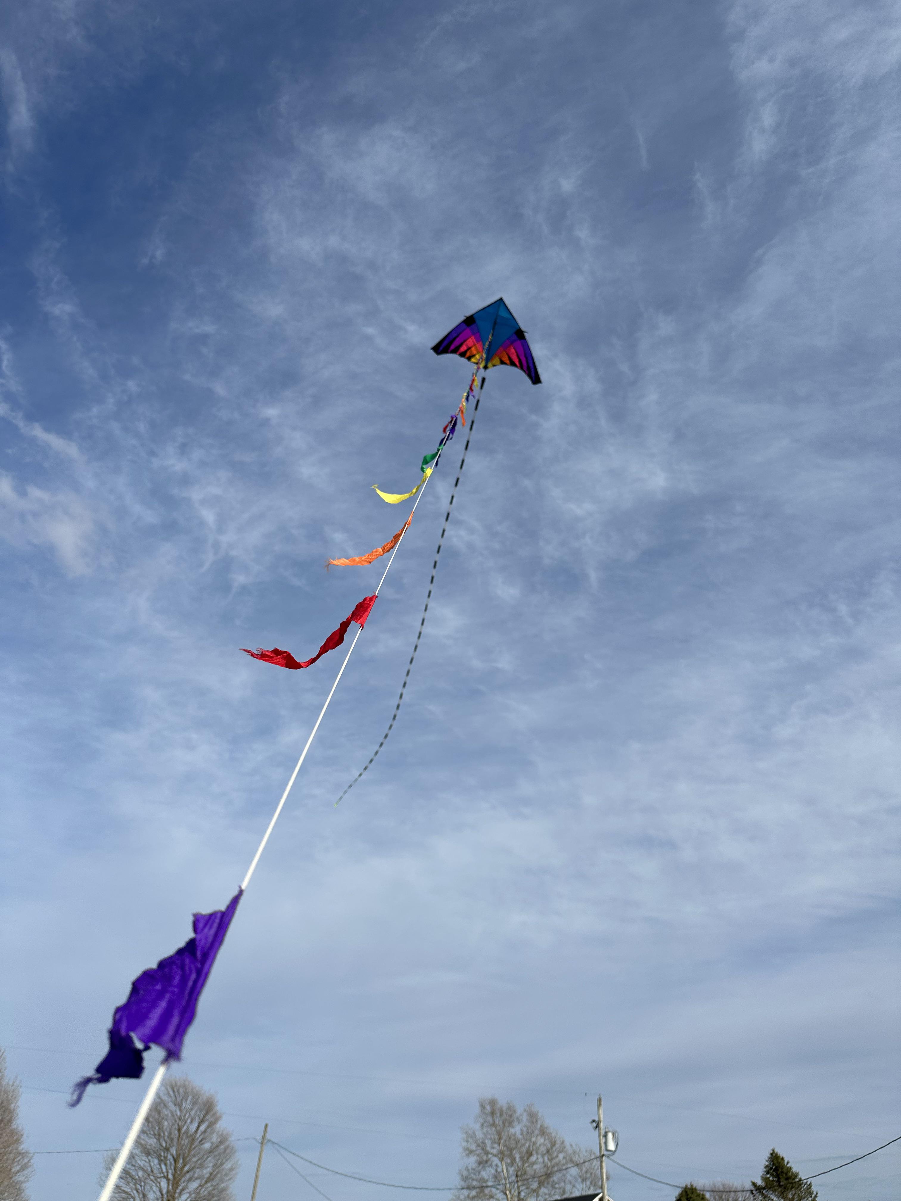 Windy day for it but fun, no less. r/kites