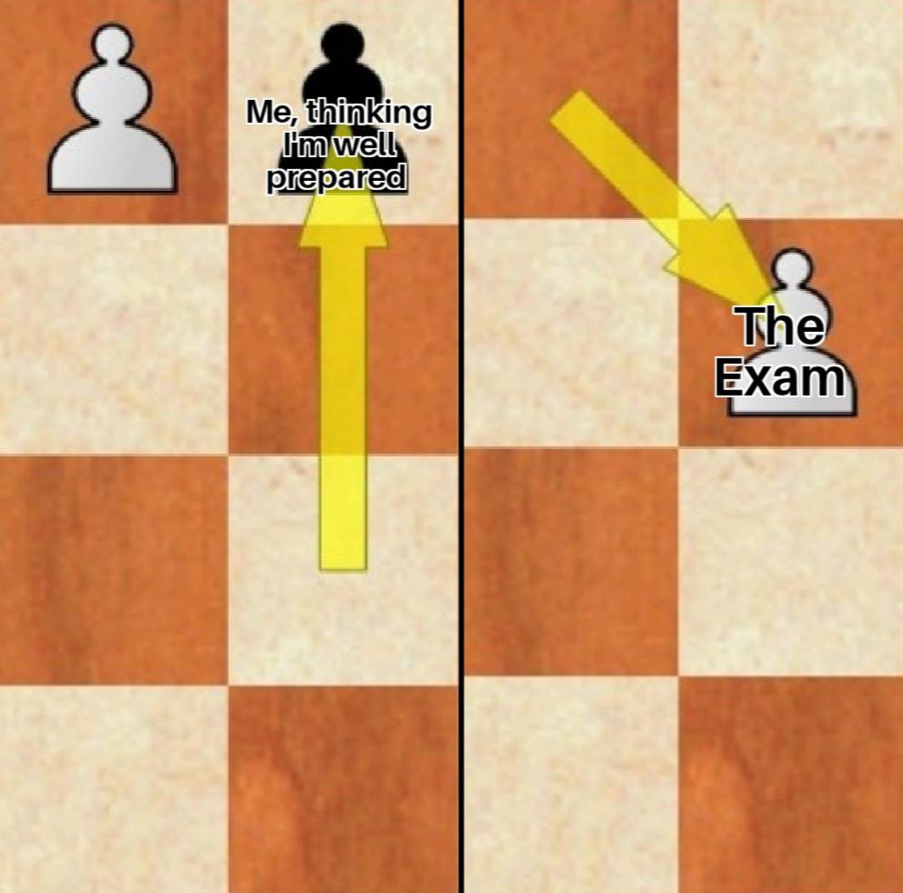 Only 5000 ELO chess players will understand r/AnarchyChess