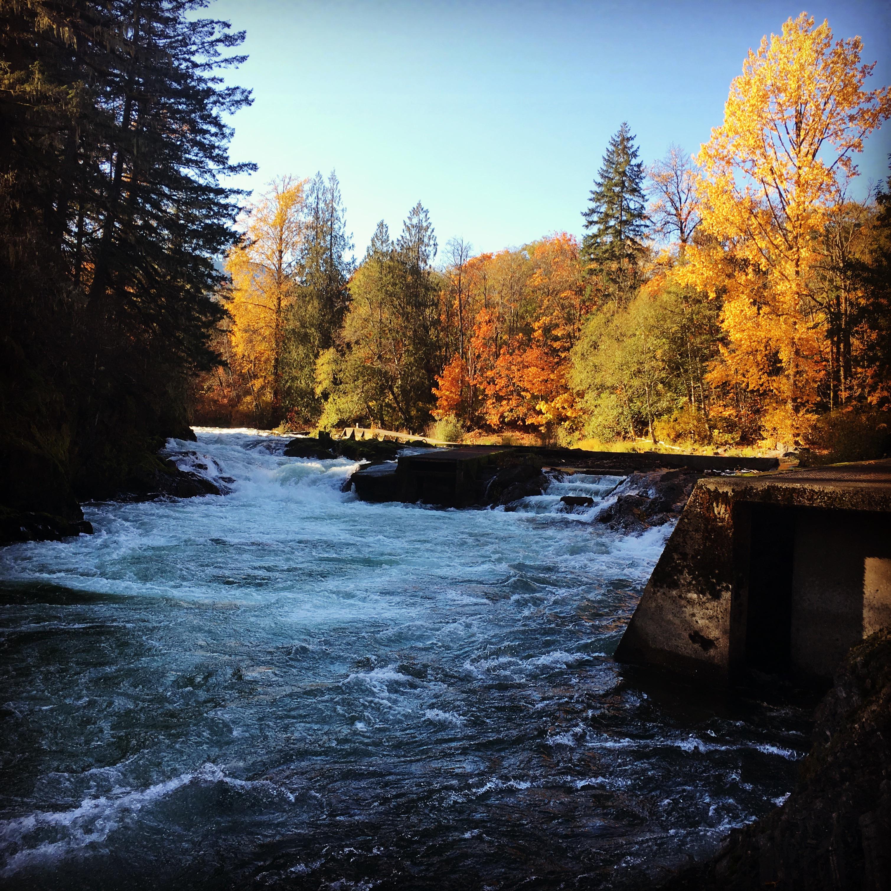 Cowichan River, Vancouver Island, BC CDN r/AutumnPorn