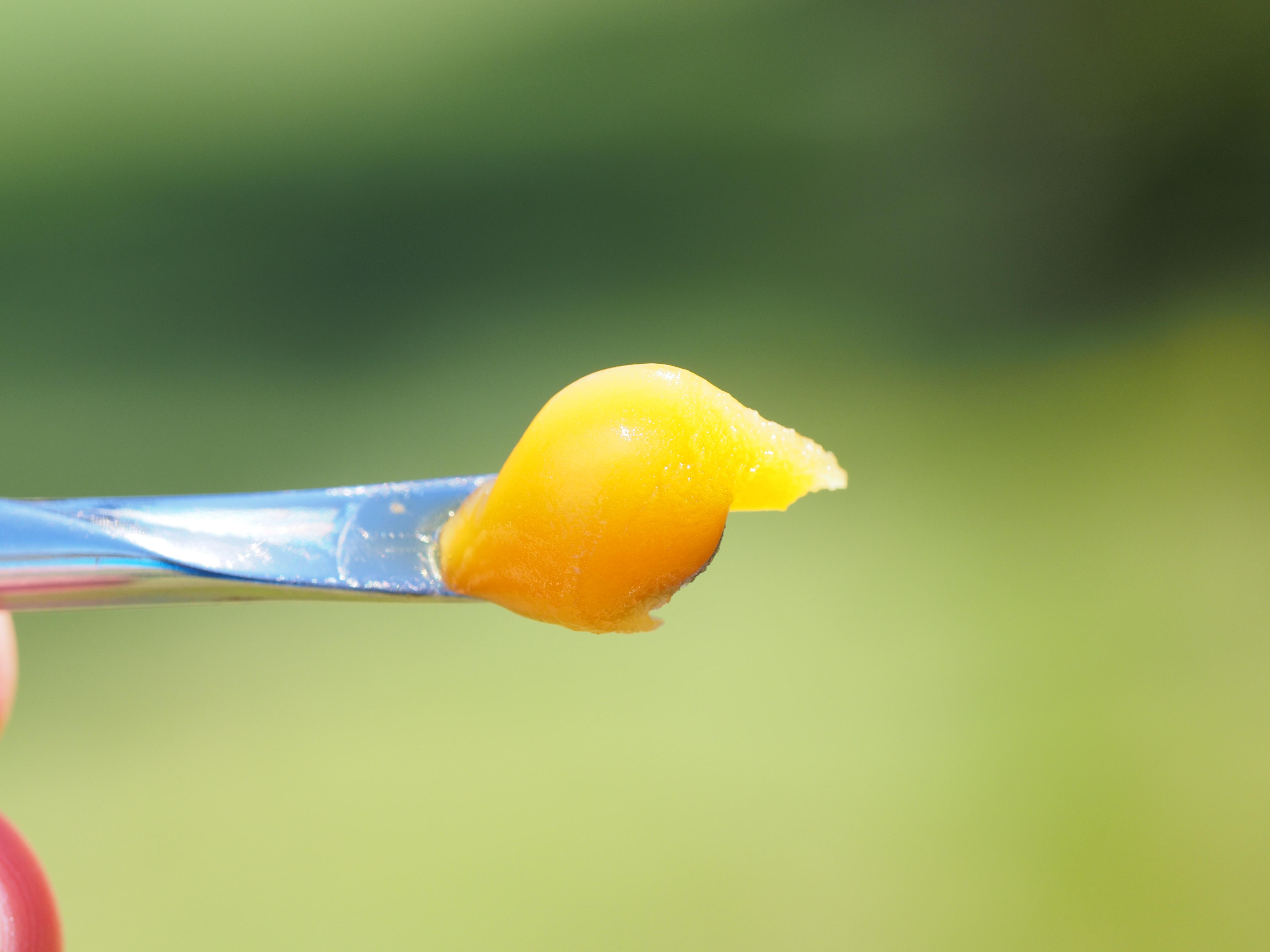 Papaya Valley Dog Live Resin r/Dabs