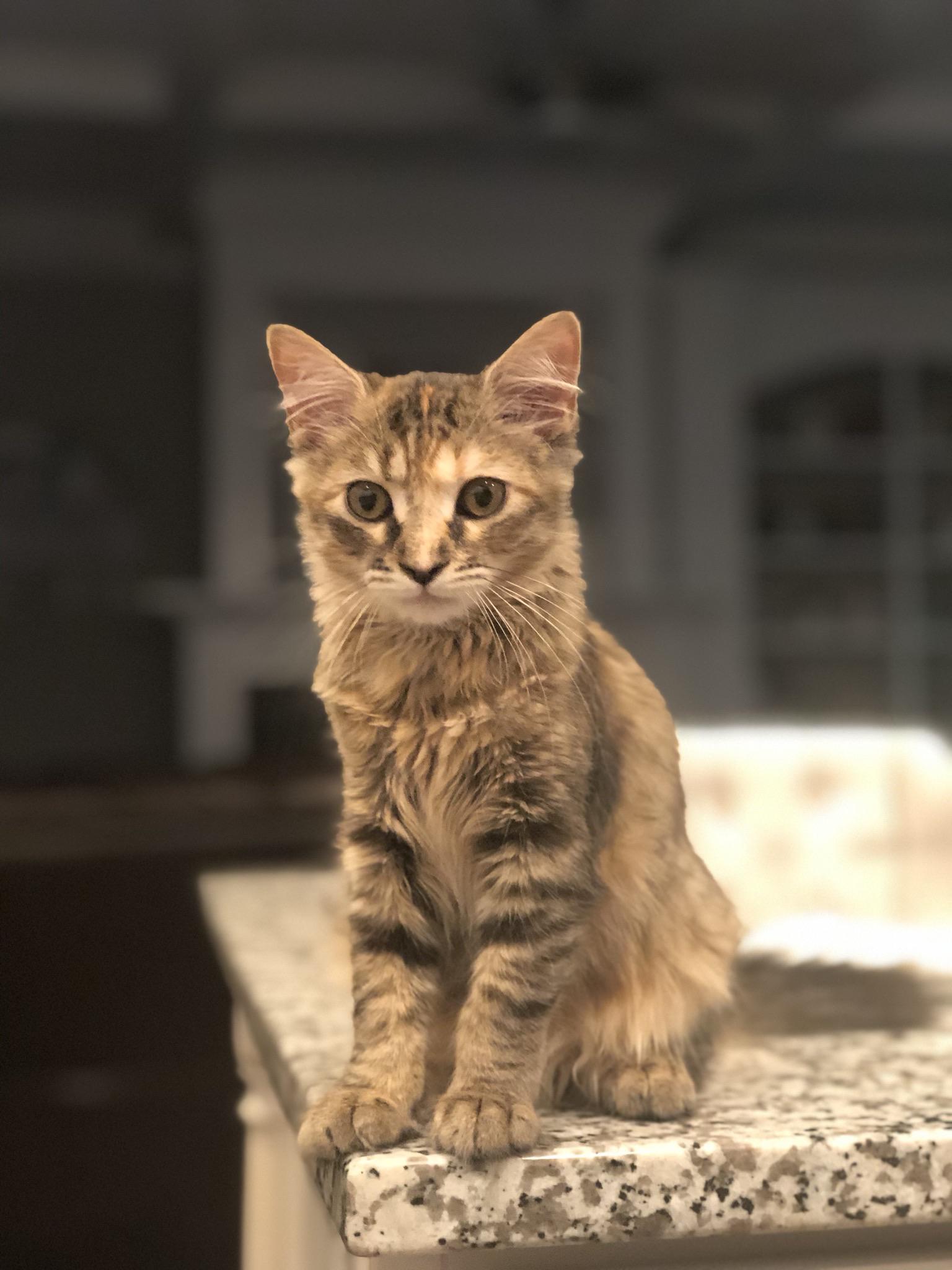 Her name is Willow and she is a wonderful upstanding lady r