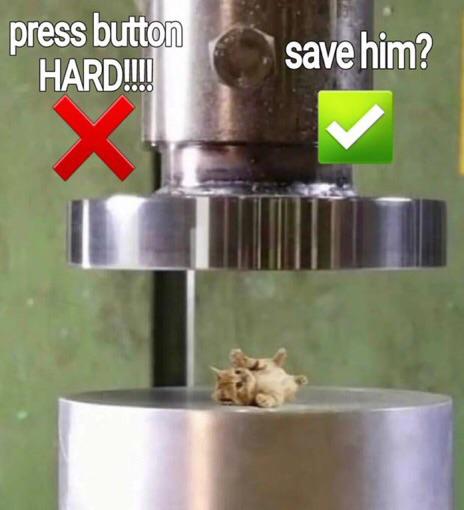 overview for ConnorsOnlyFans