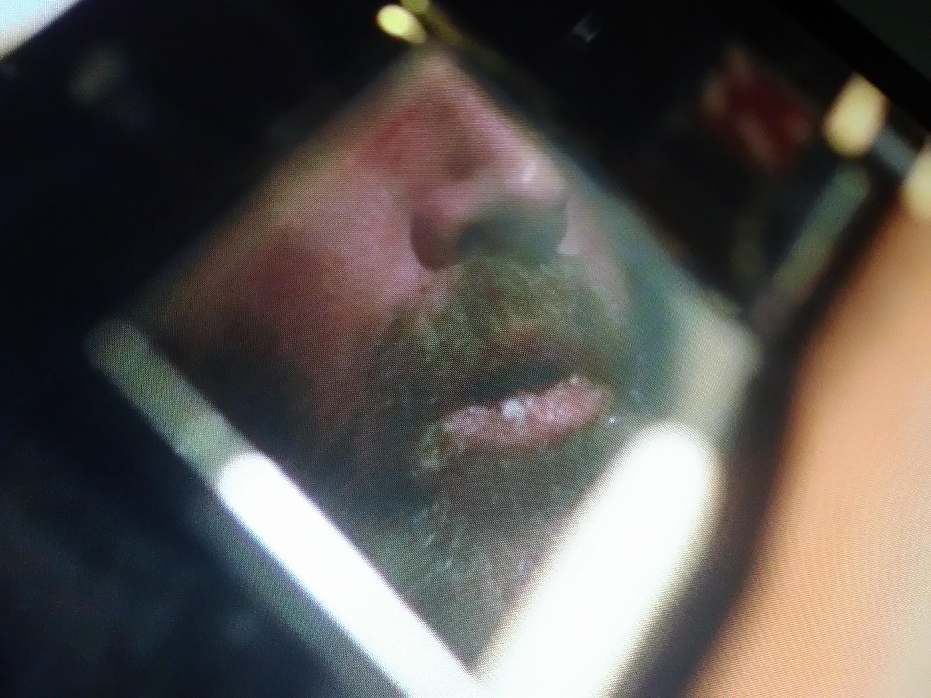 The Texas Chainsaw Massacre Leatherface Unmasked