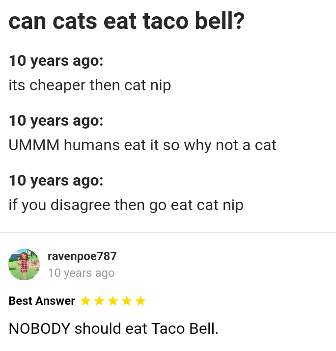 Can cats eat taco bell? r/yahooanswers