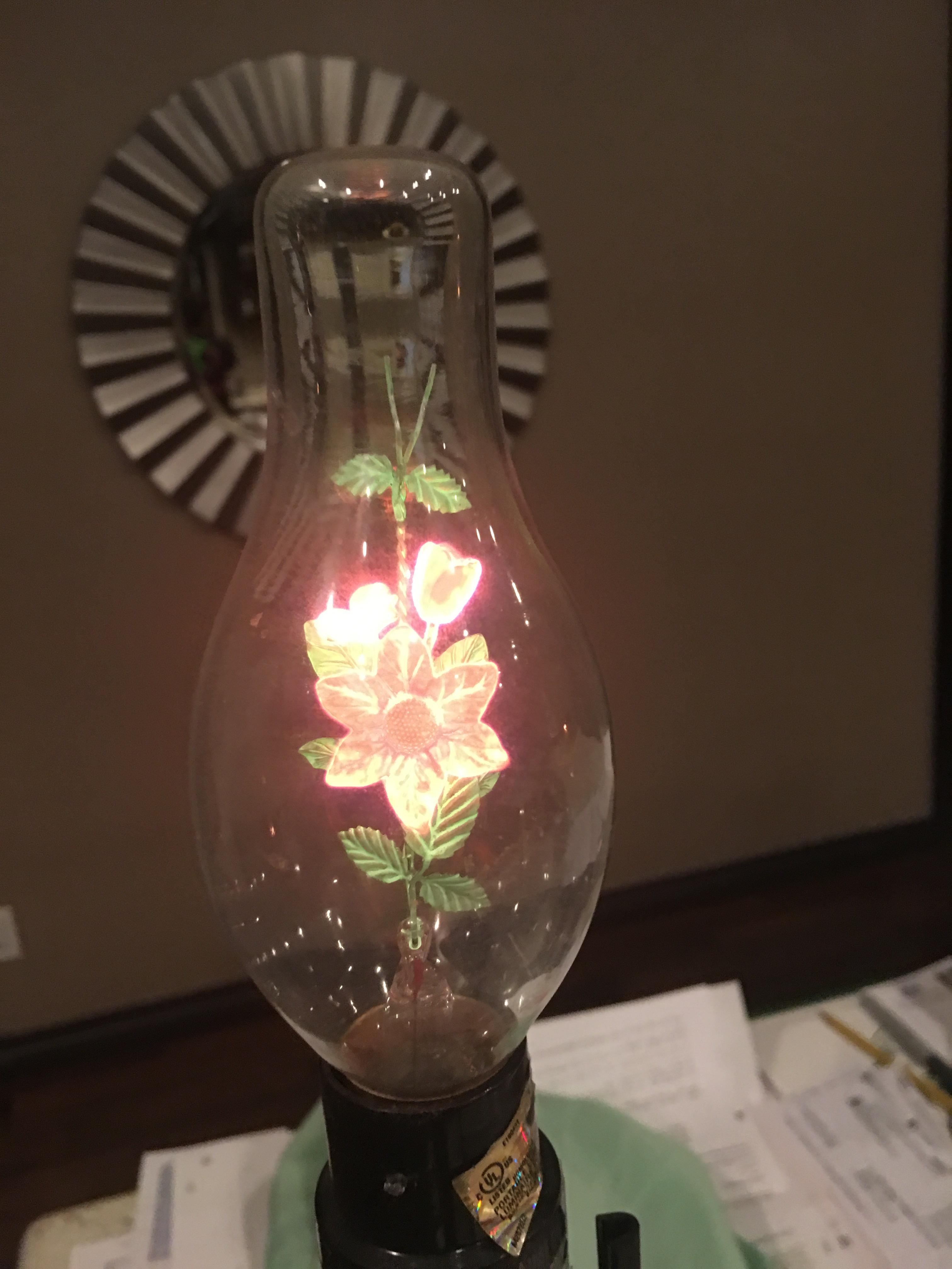 This lightbulb has a flower in it and when it’s turned one it turns