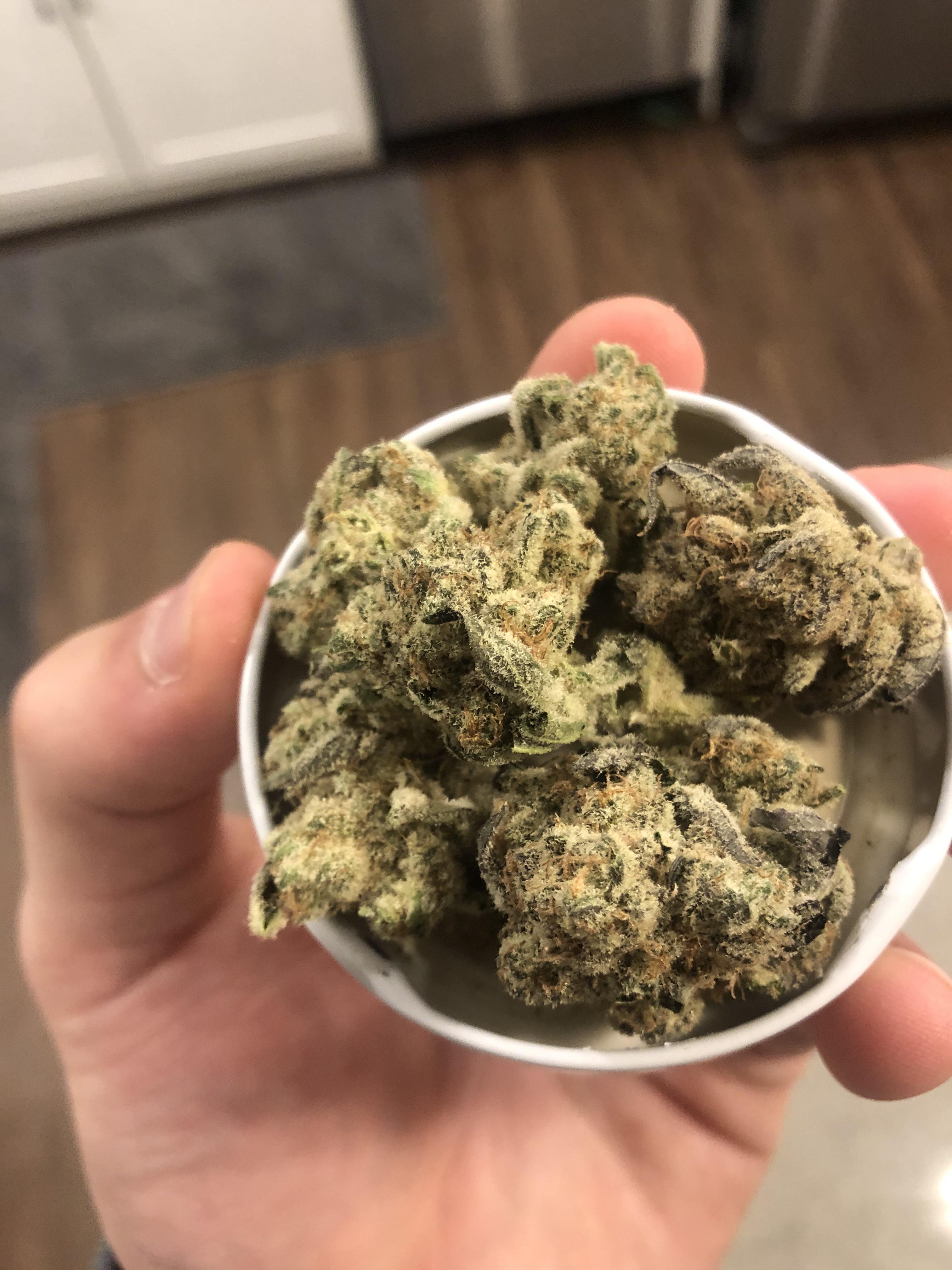 Frosted Apricots from ACA Med goin crazy r/COents