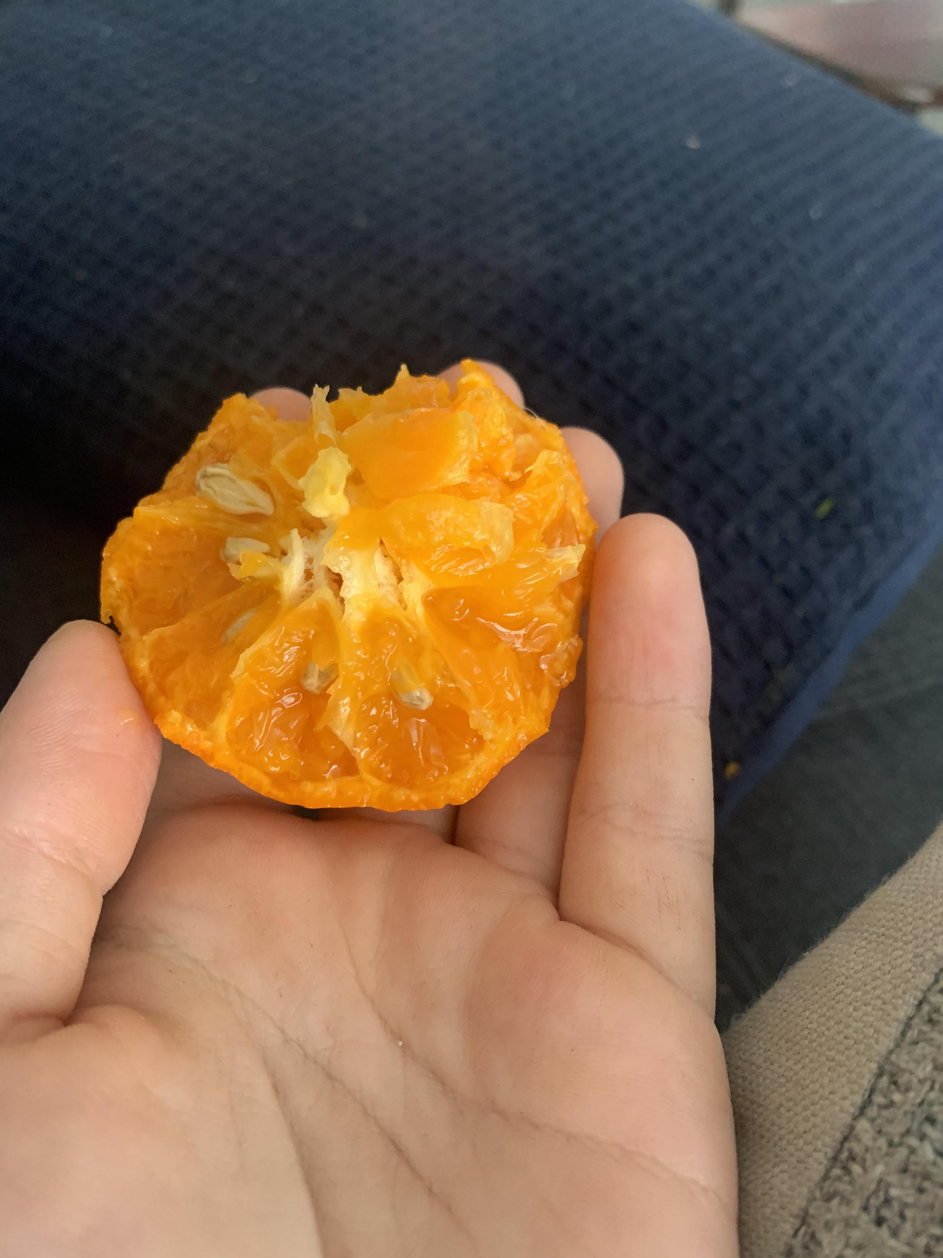 Can Rabbits Eat Mandarin Oranges