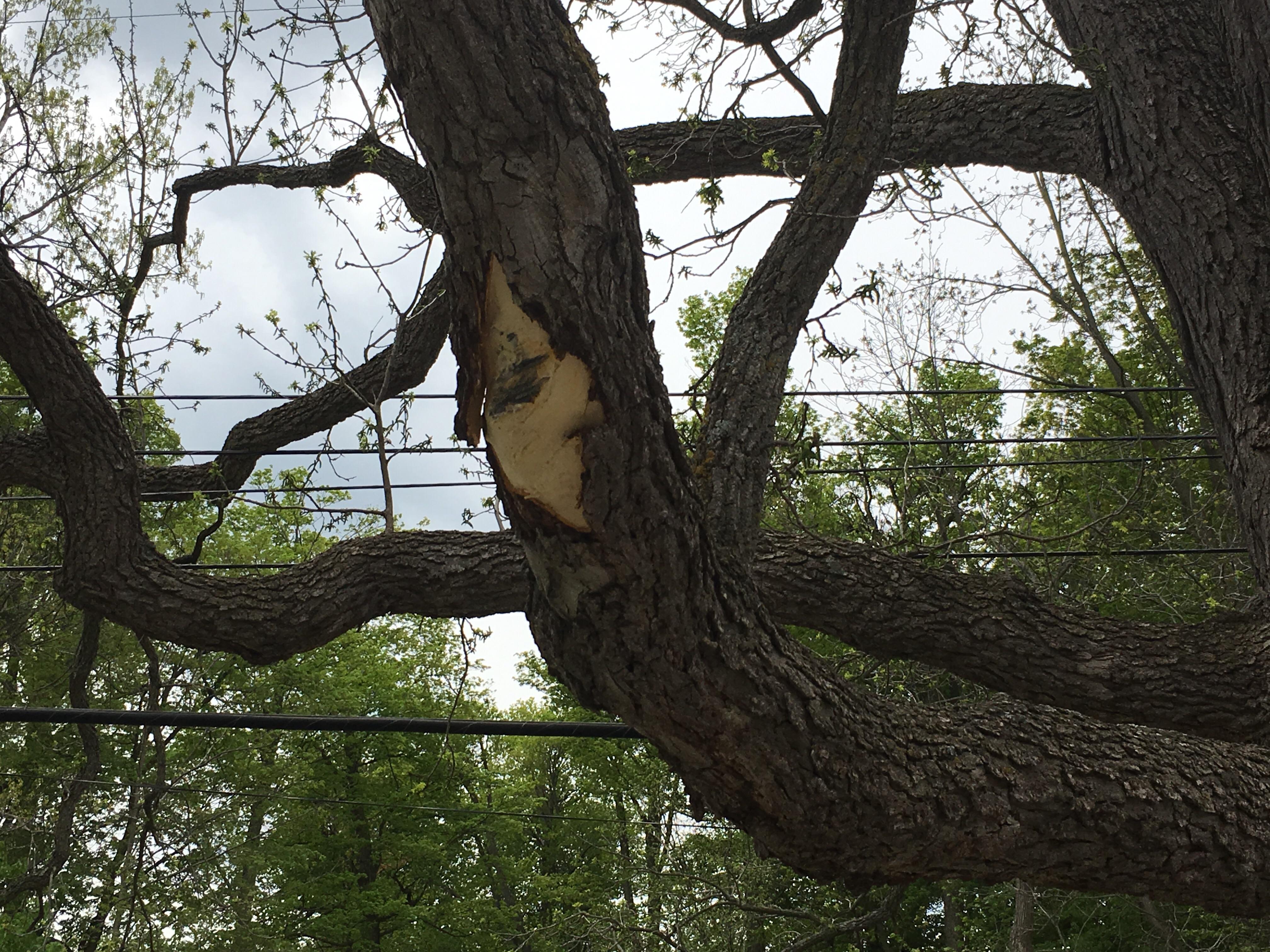 Box truck encounter. It ripped the top off the truck. Should I do anything to protect it? r