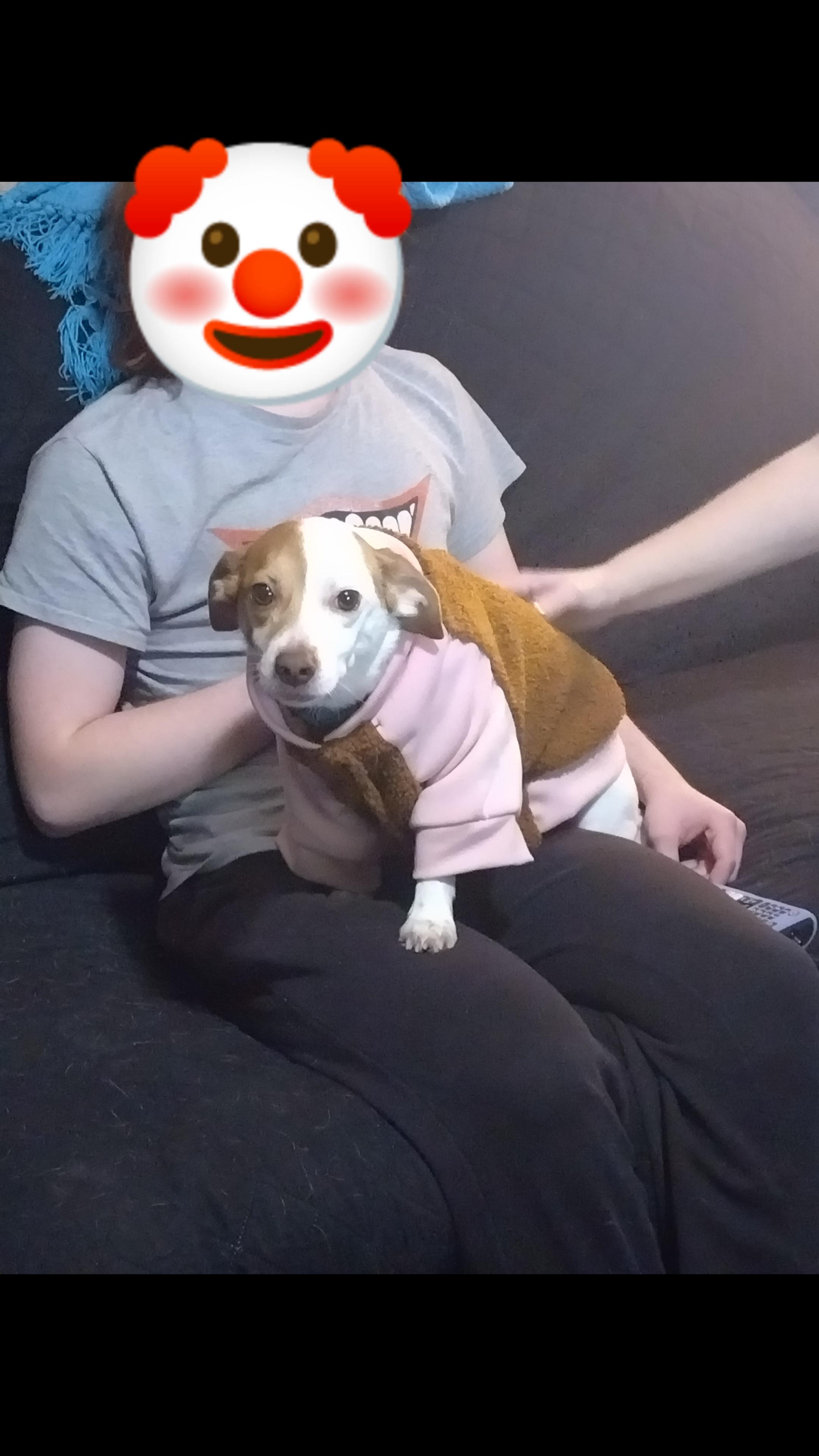 My five year old girl hates clothes, but she gets so cold easily. r