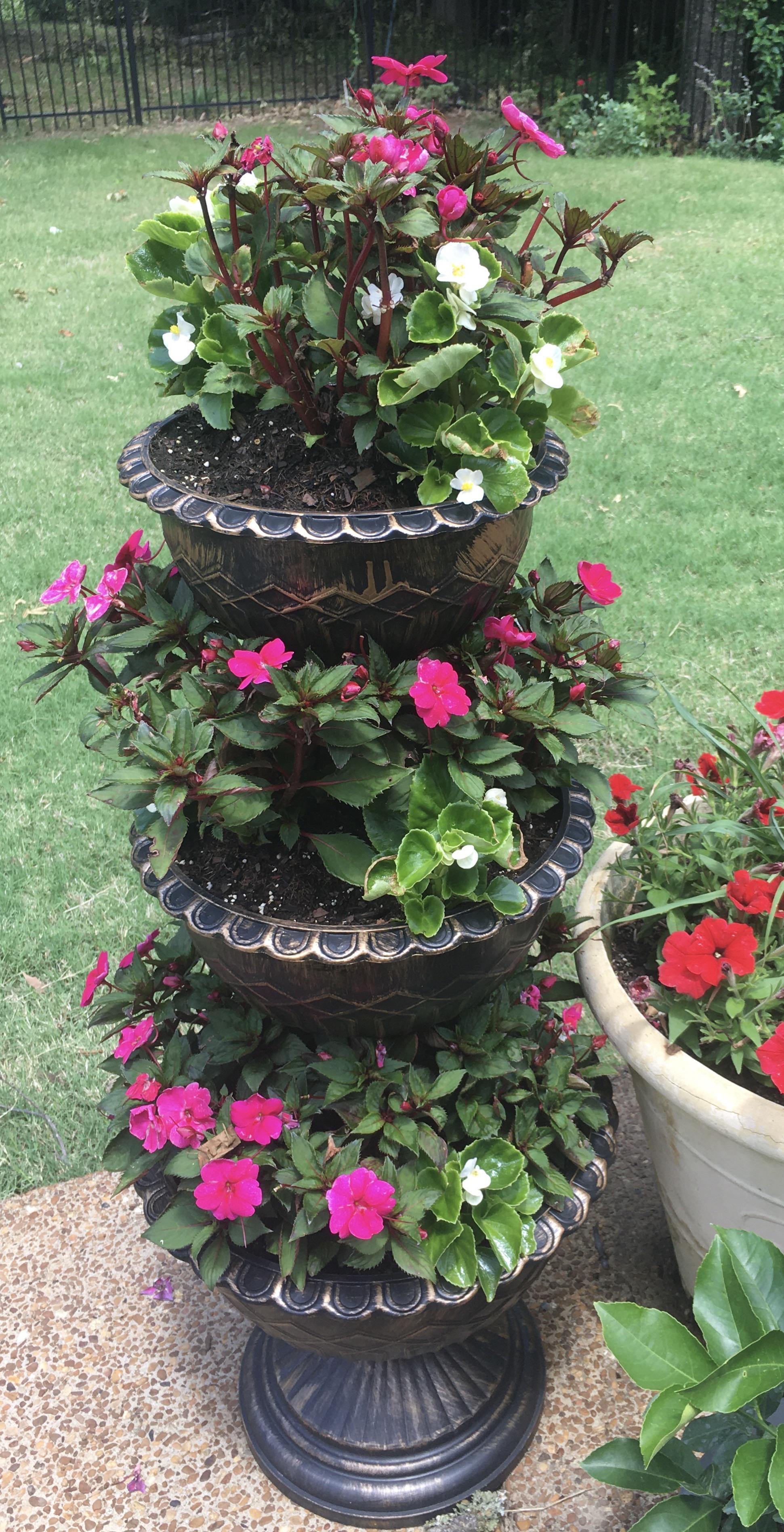 Three tiered planter from Aldi — looking pretty good. r/aldi