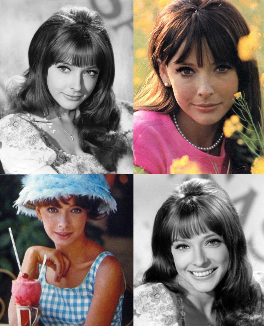 Brenda Scott r/ClassicScreenBeauties