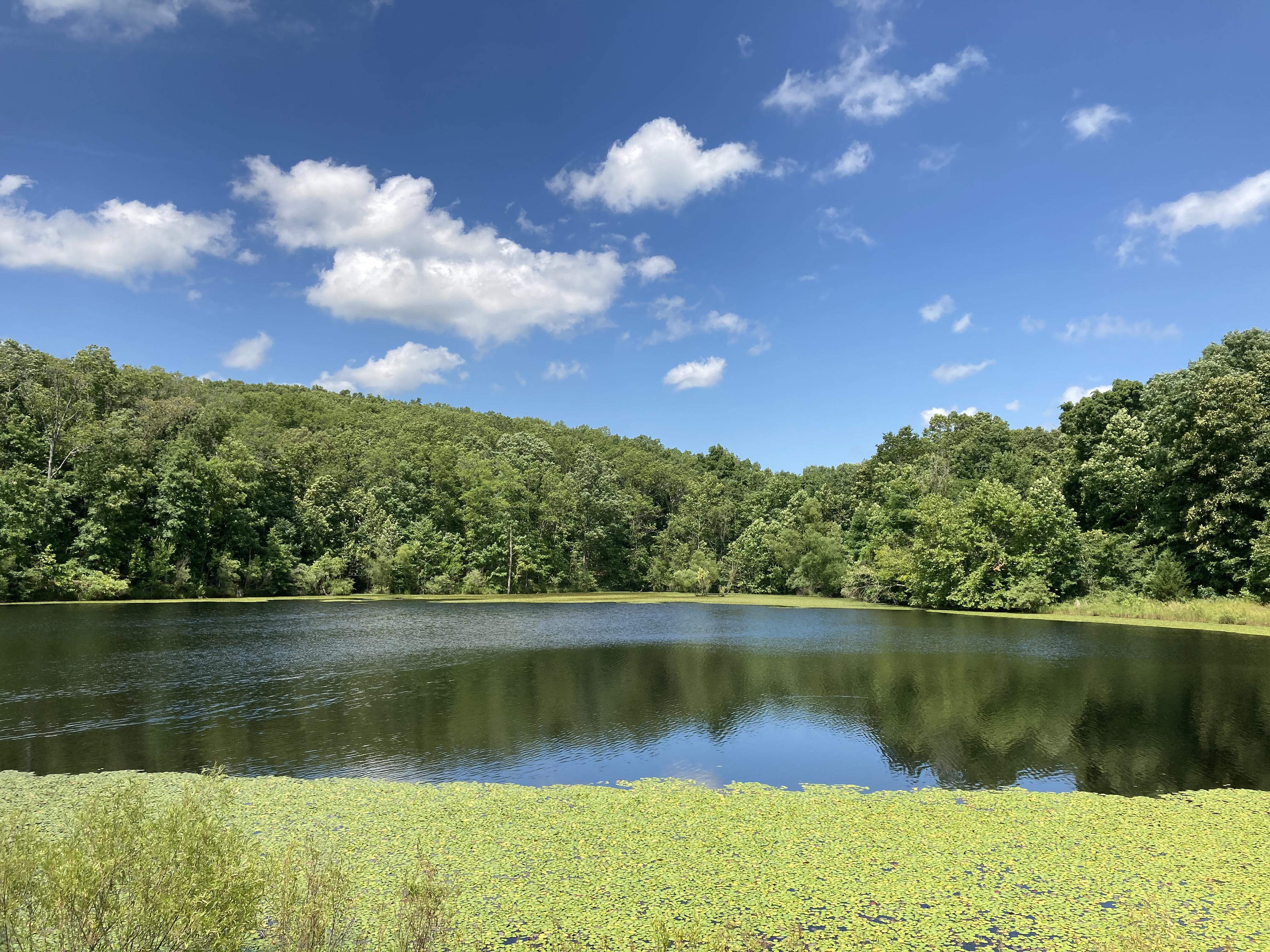 The view from a remote lake near where I live r/pics