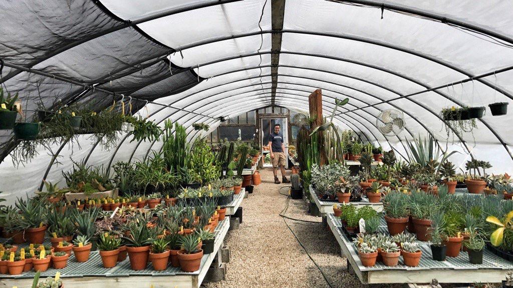 My favorite nursery now has a dedicated succulent shed. It took all my