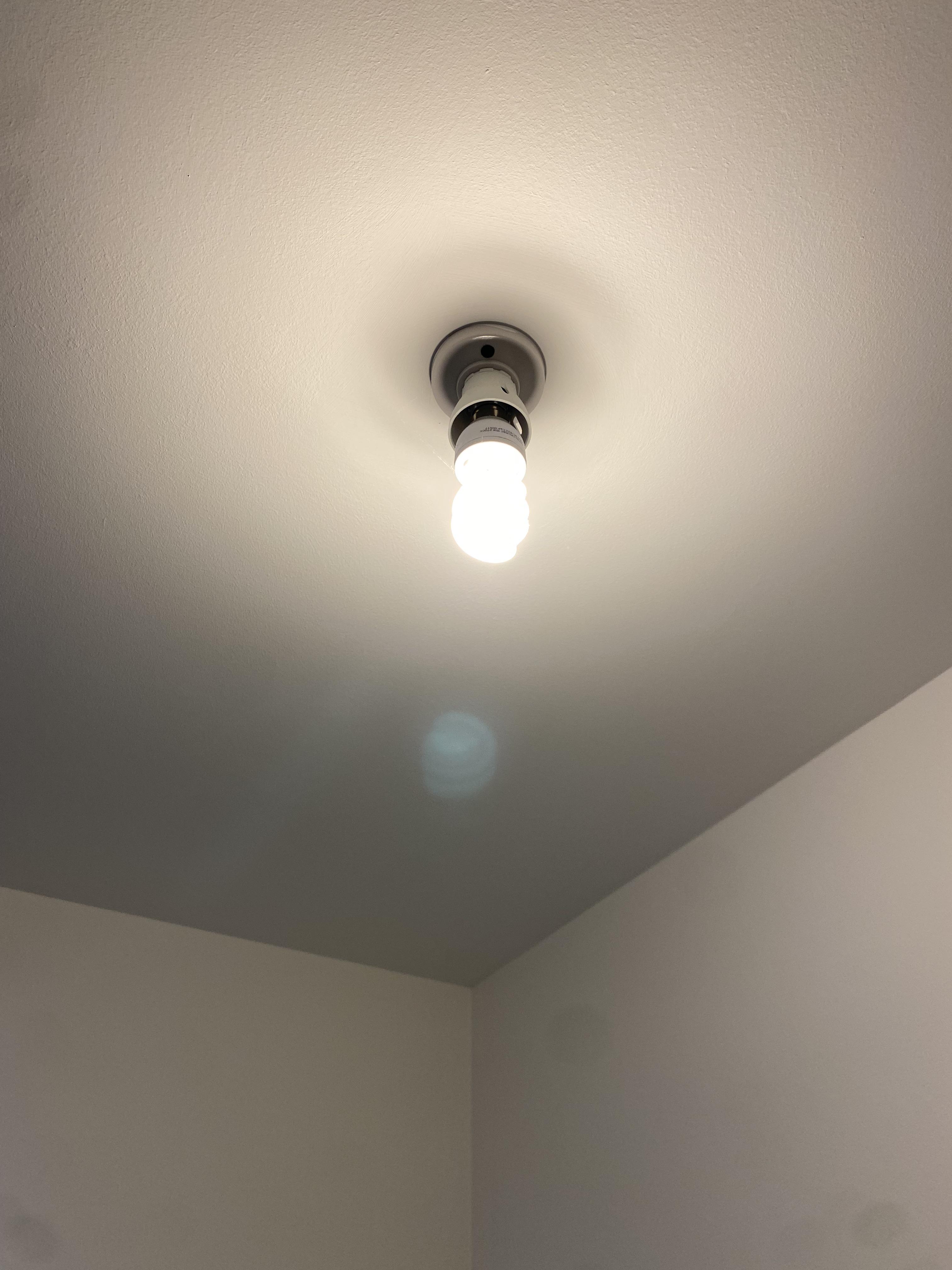 The bulbs in my bathrooms all sit like this. In the rest of my house