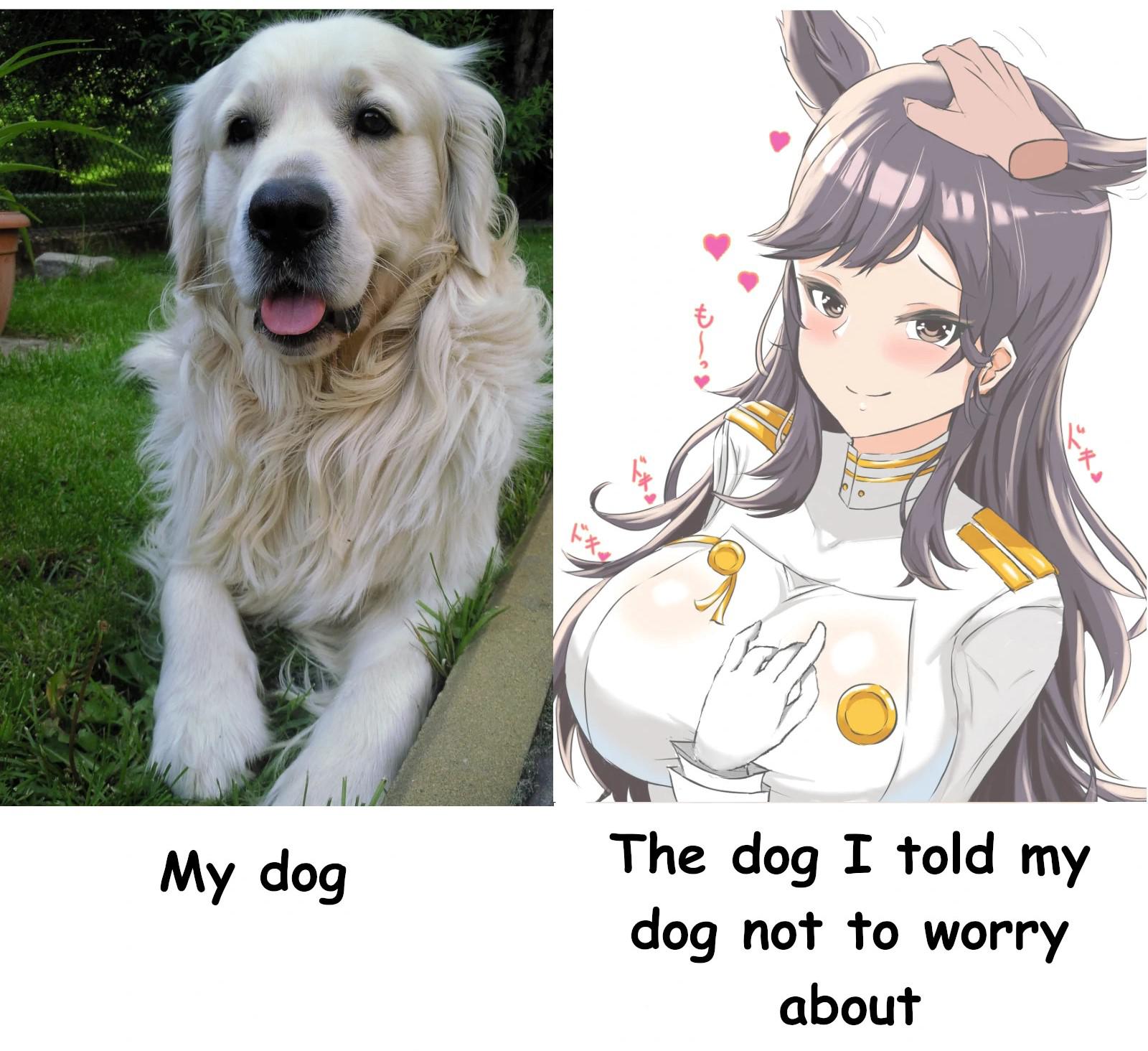 I love my dogs r/goodanimemes