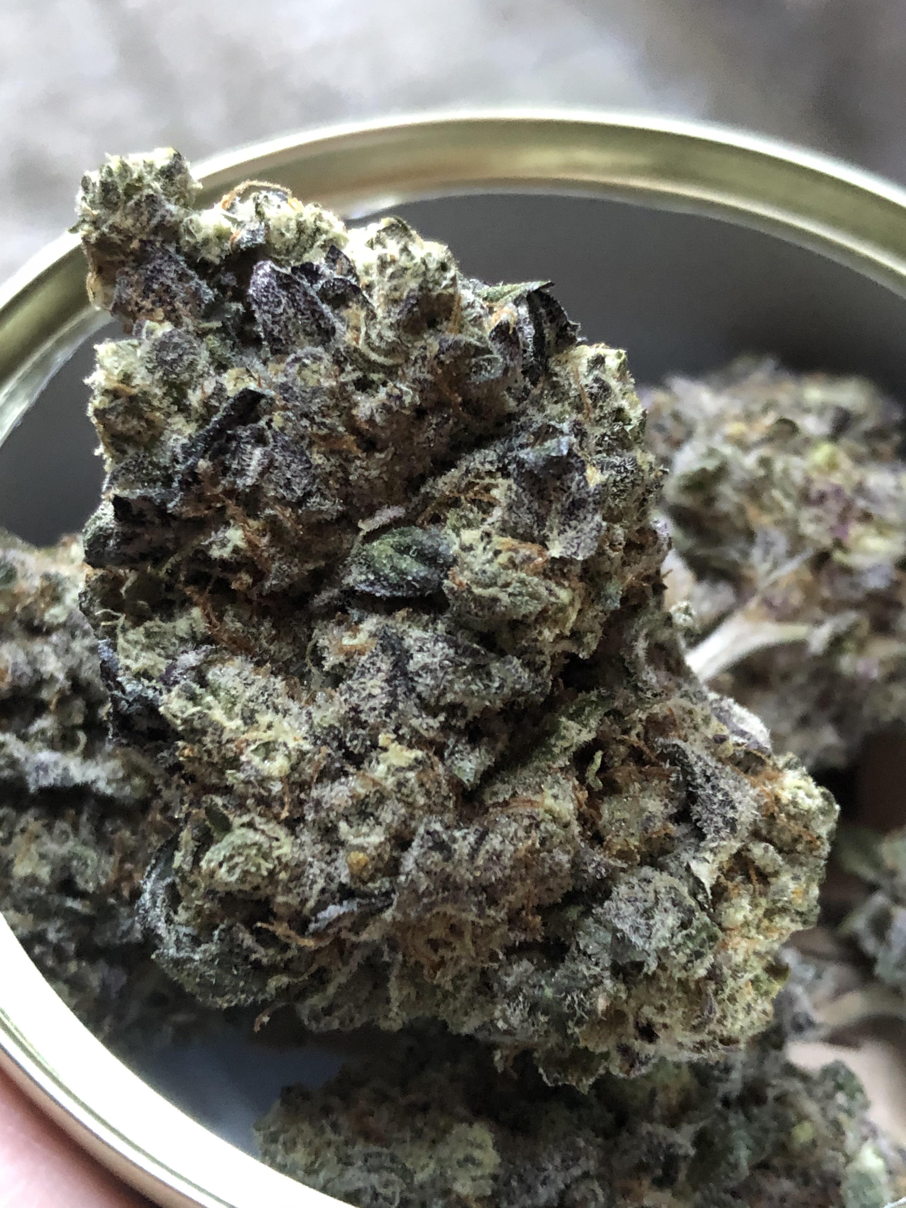 Hidden Pastry LSO Gas Garden September r/MOMpics