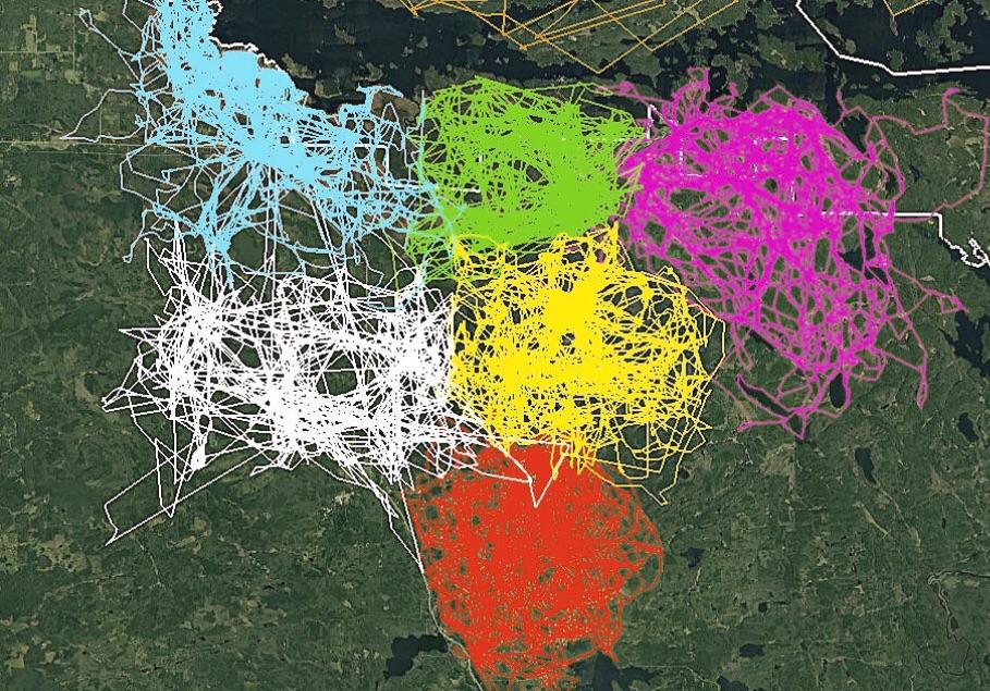 Heat map of different wolf packs in Minnesota's Voyageurs National Park