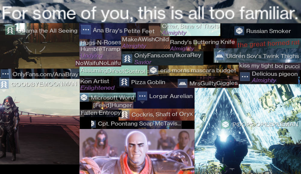 Steam Usernames ARE a real treasure. r/destinynames