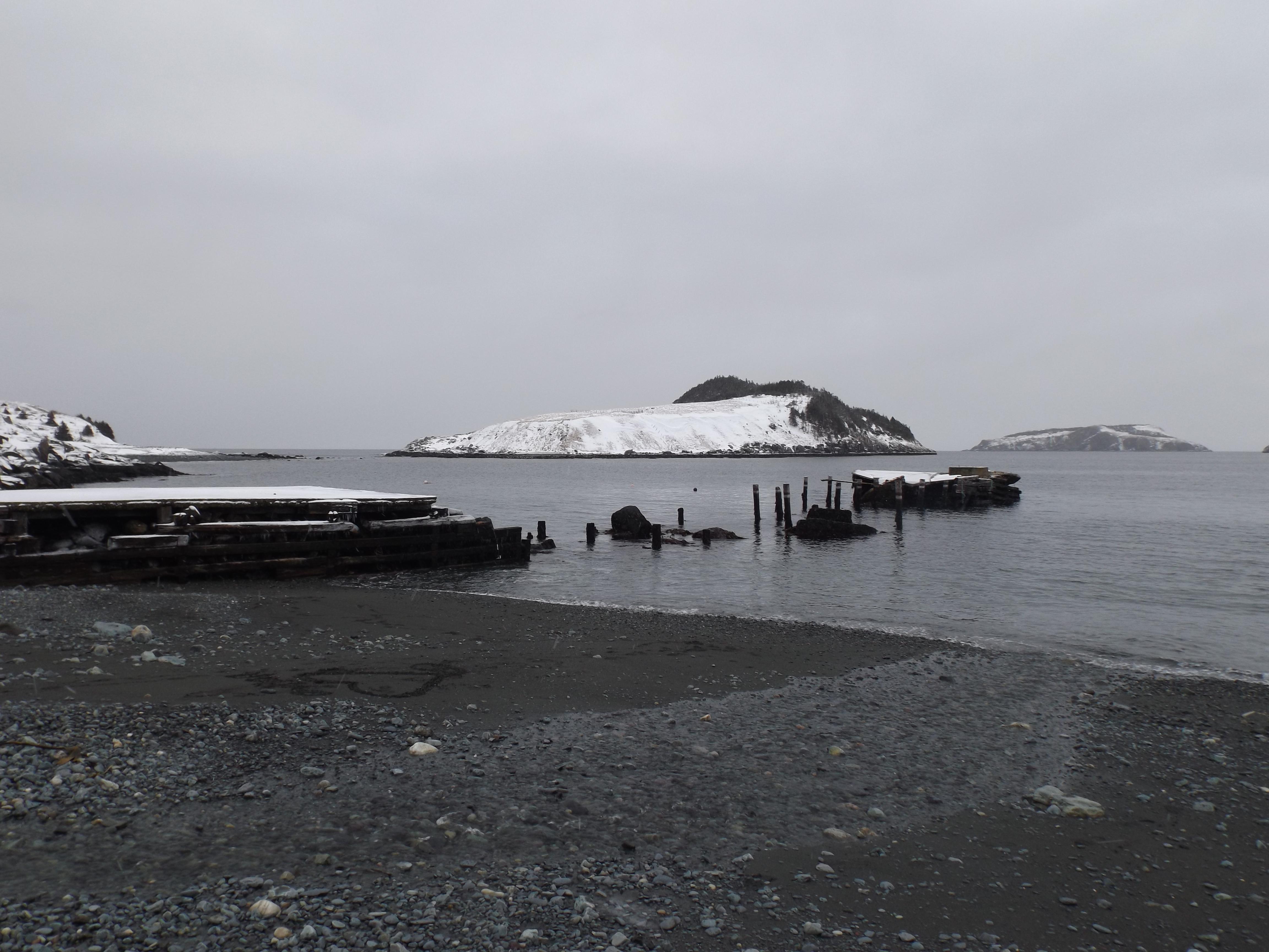 Tors Cove r/newfoundland