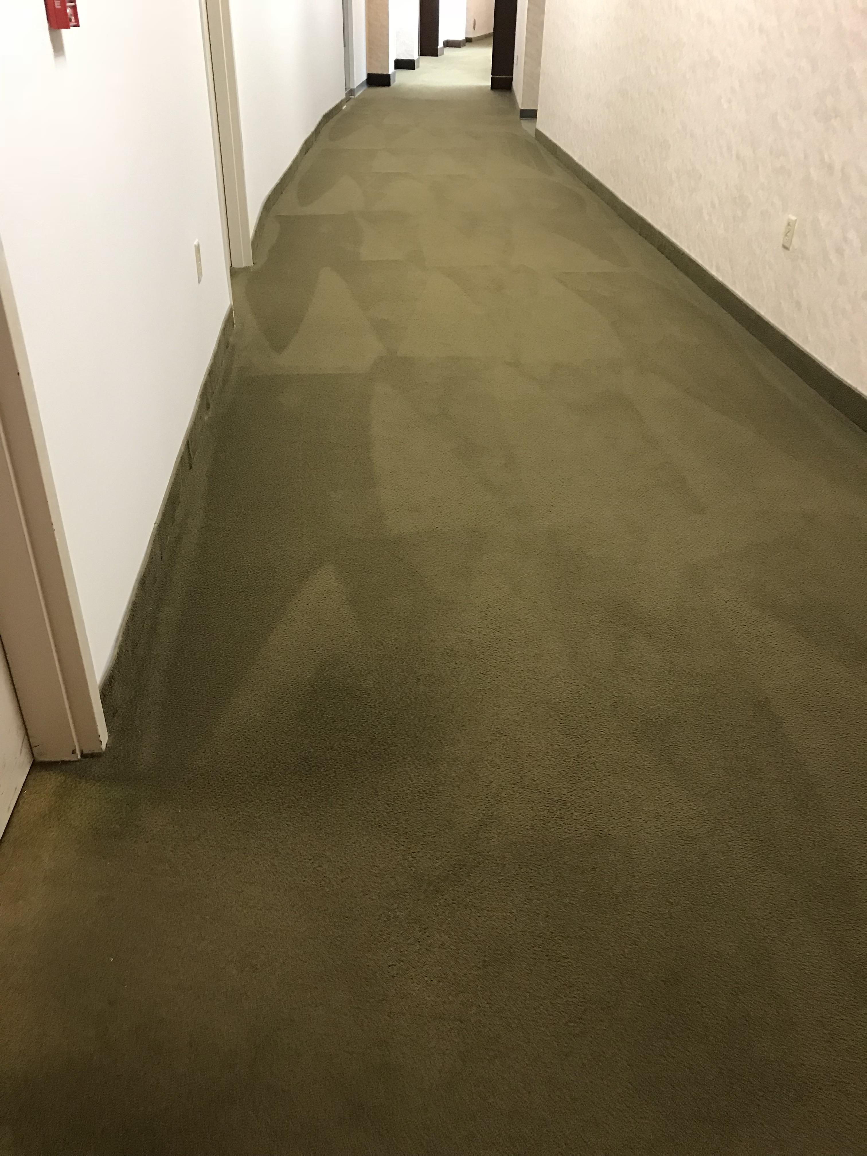 The vacuum marks on the hallway carpet at work r/oddlysatisfying