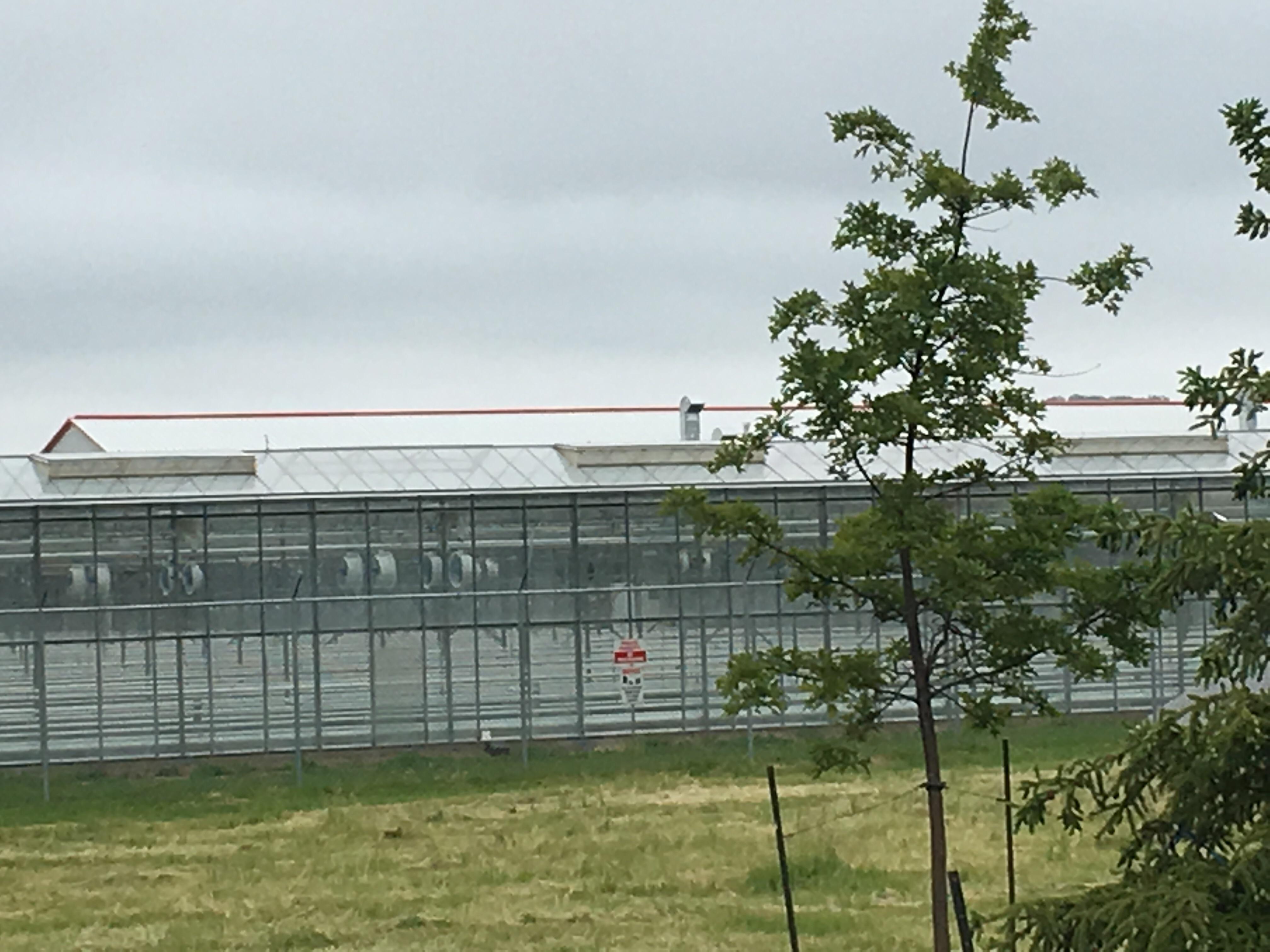 Tweed farms is empty. June 5th 1240 pm r/weedstocks