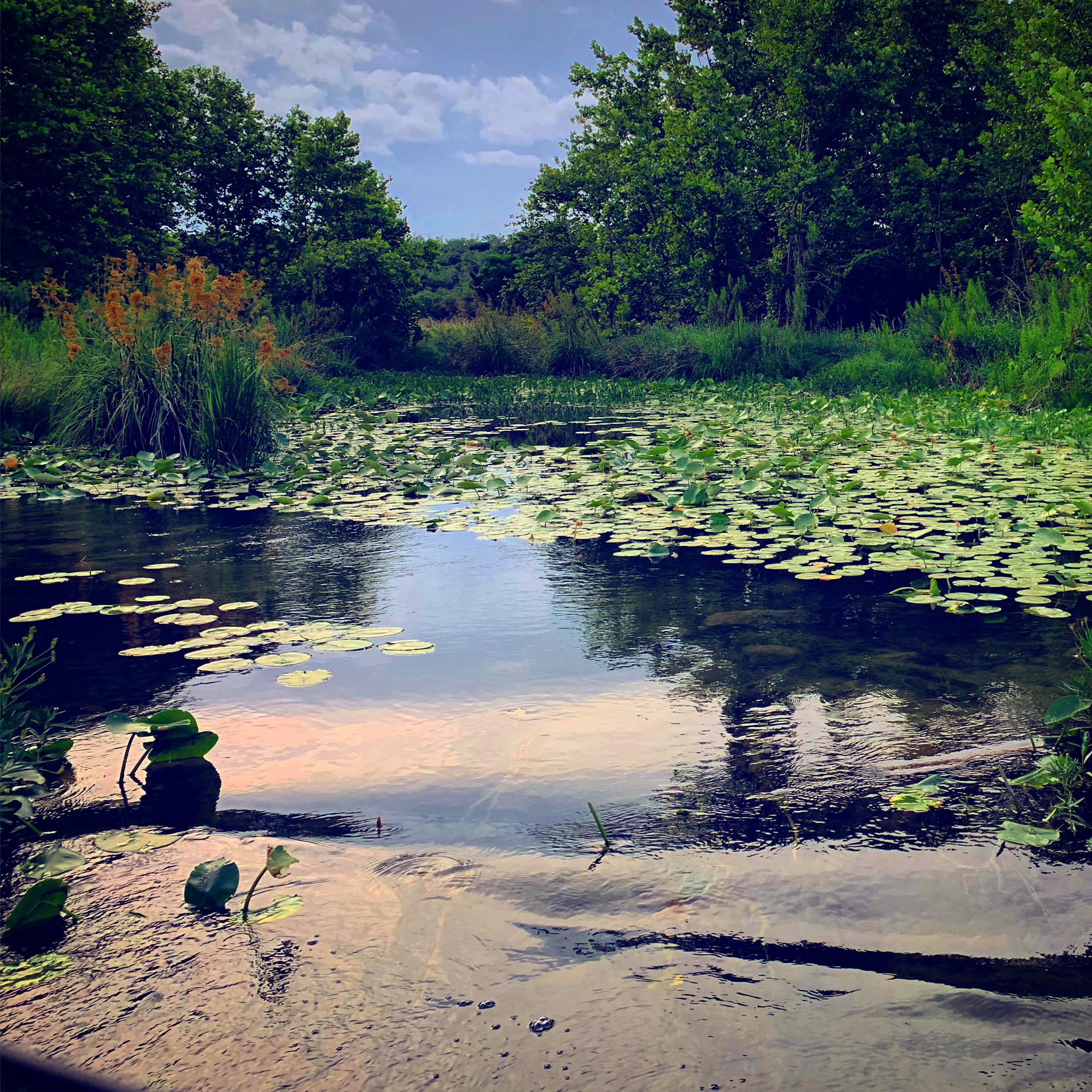 Roosevelt, TX r/TexasViews