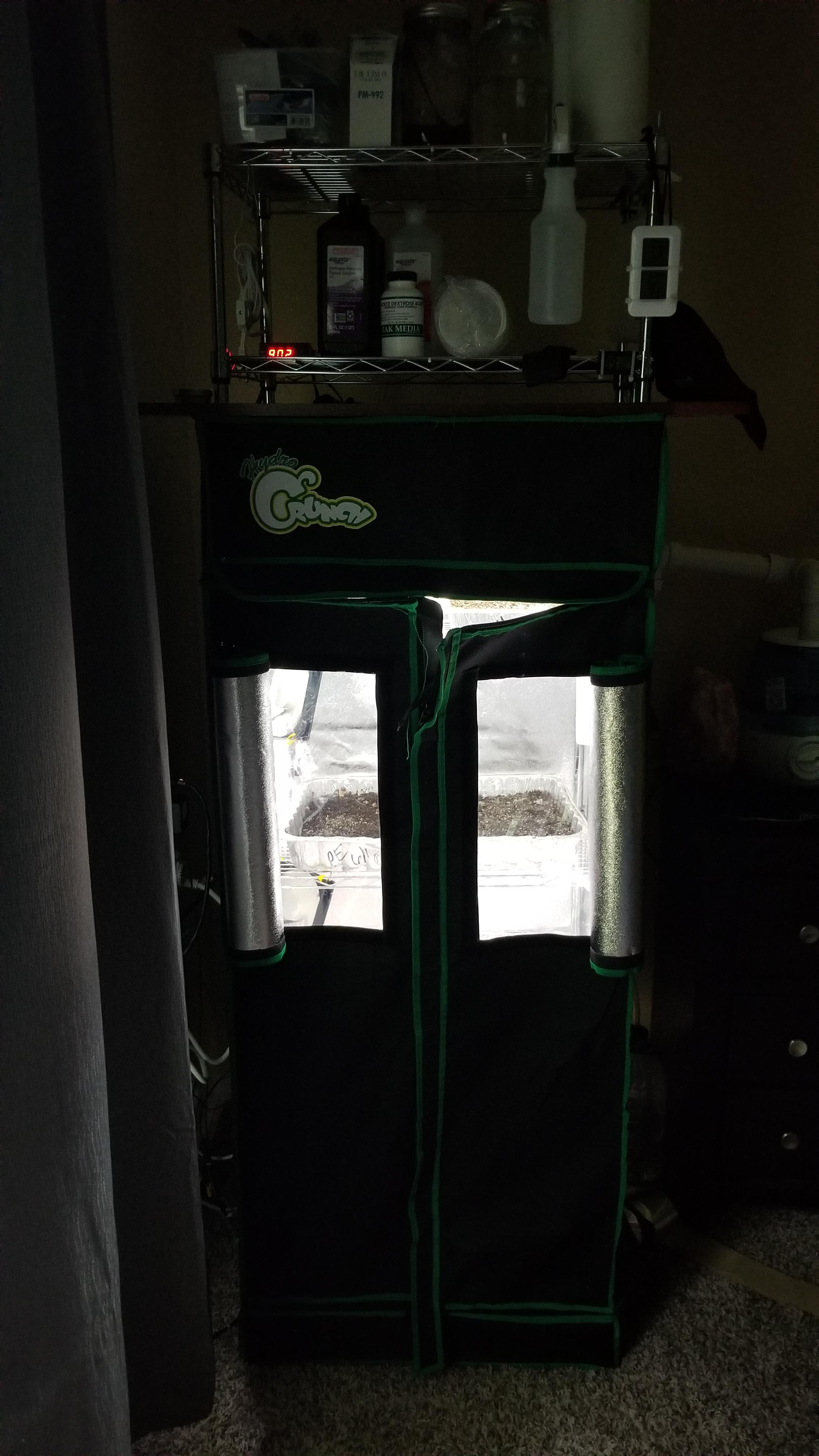 I love my grow tent r/shroomery